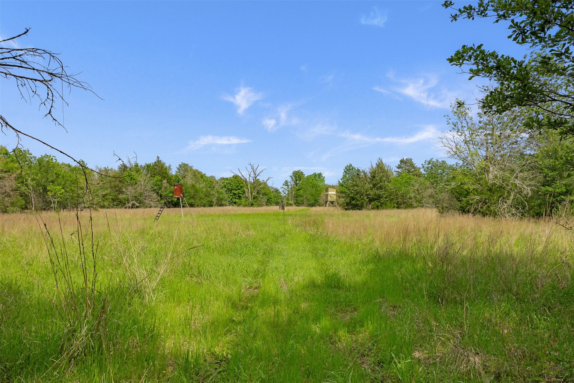 +/- 400 Ac Fm 2289 Property Photo 9