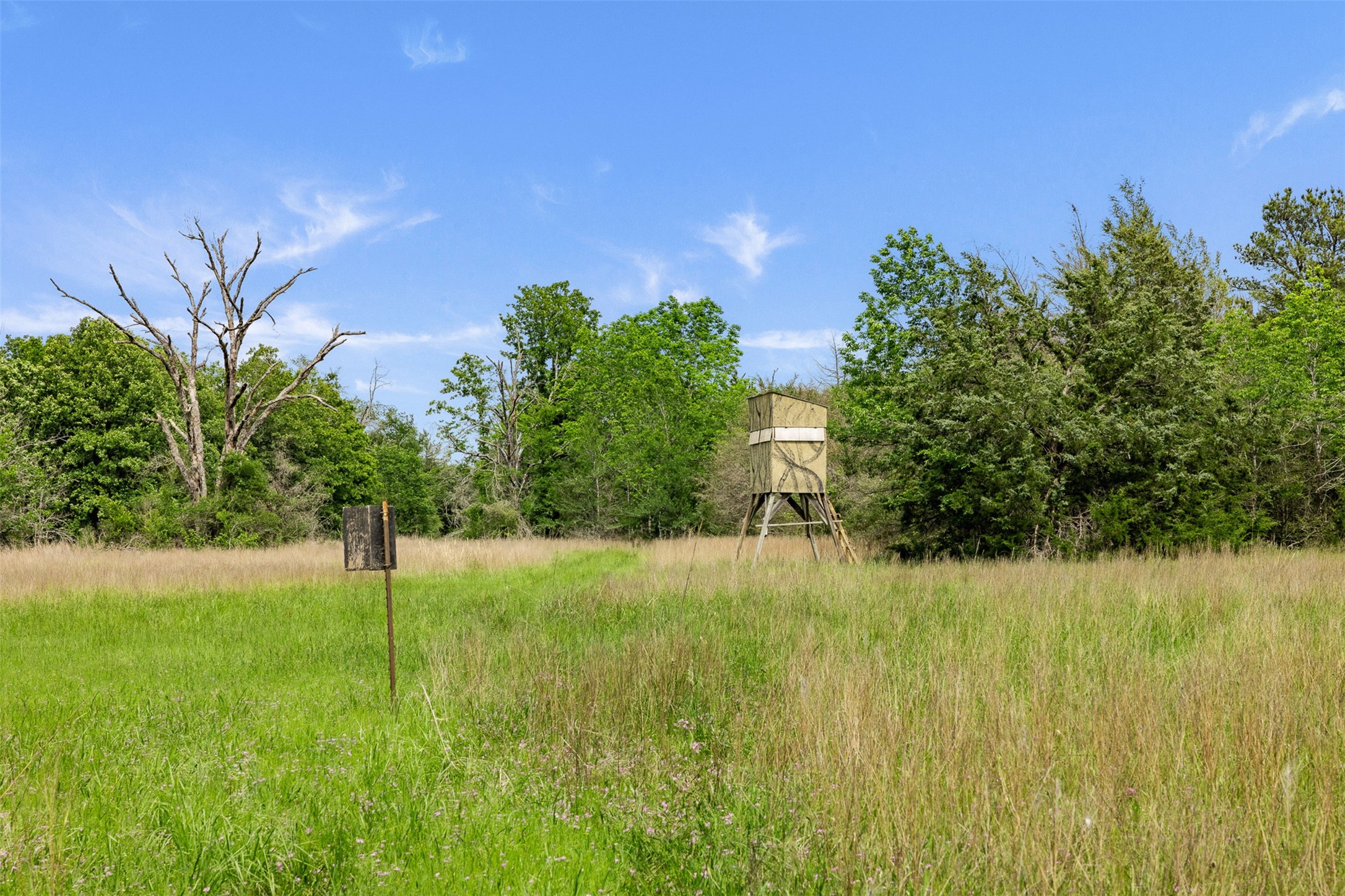 +/- 400 Ac Fm 2289 Property Photo 10