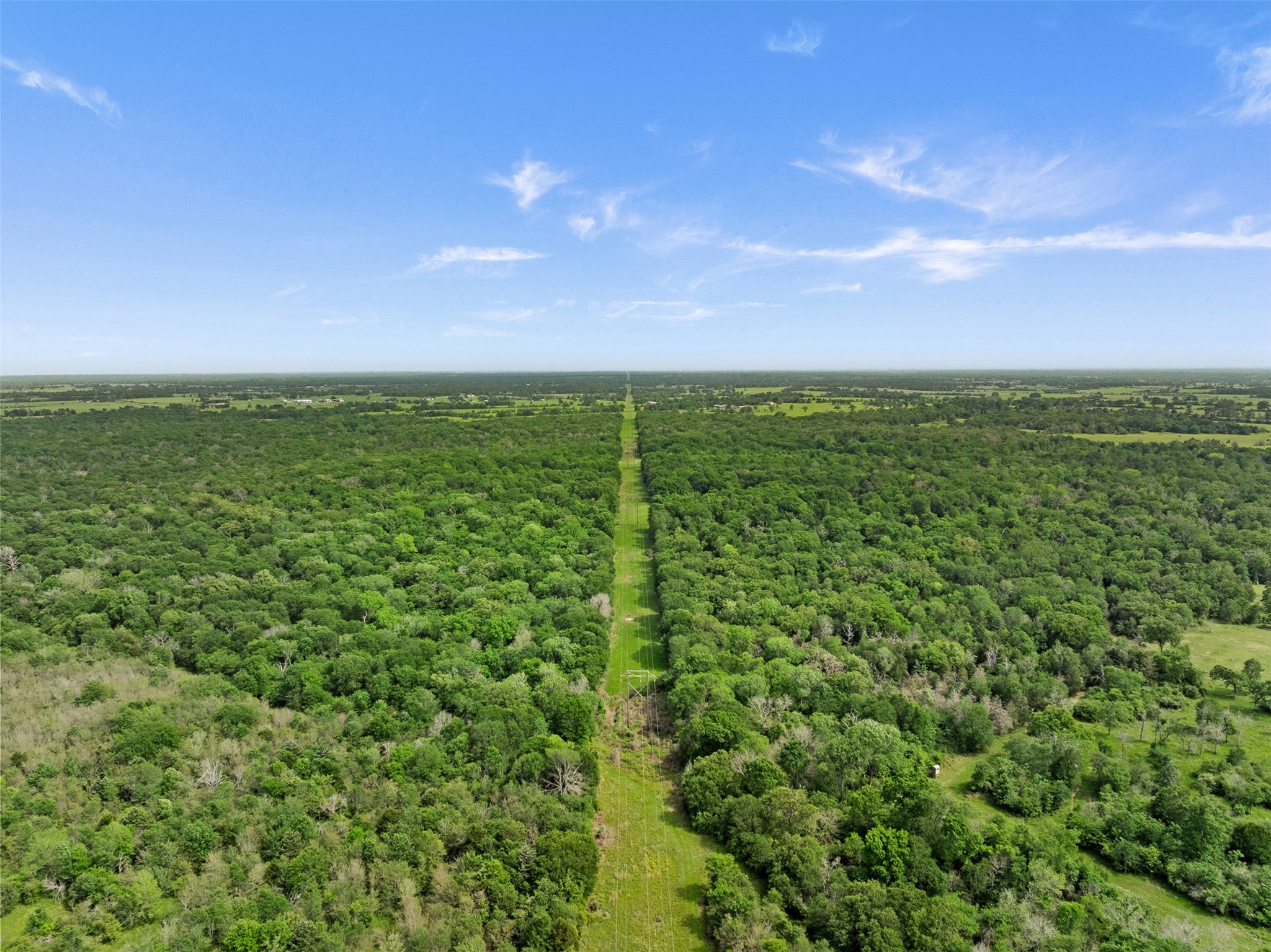 +/- 400 Ac Fm 2289 Property Photo 11