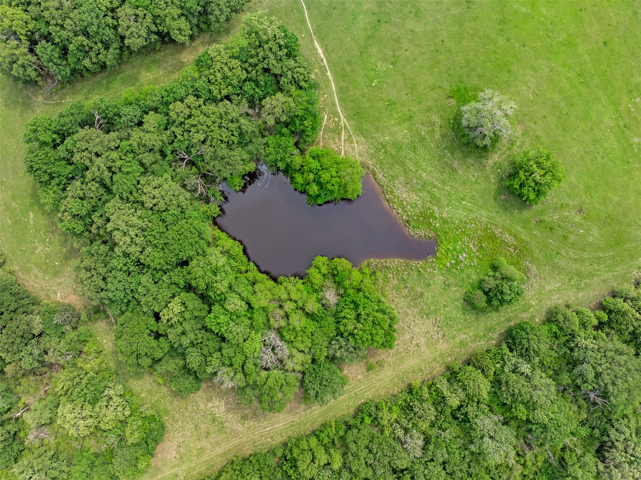 +/- 400 Ac Fm 2289 Property Photo 12