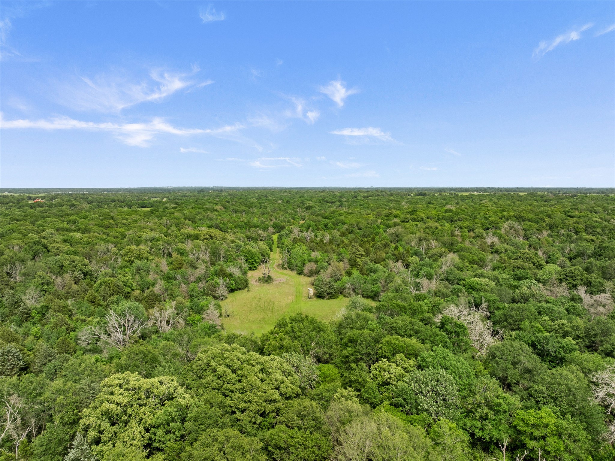 +/- 400 Ac Fm 2289 Property Photo 13