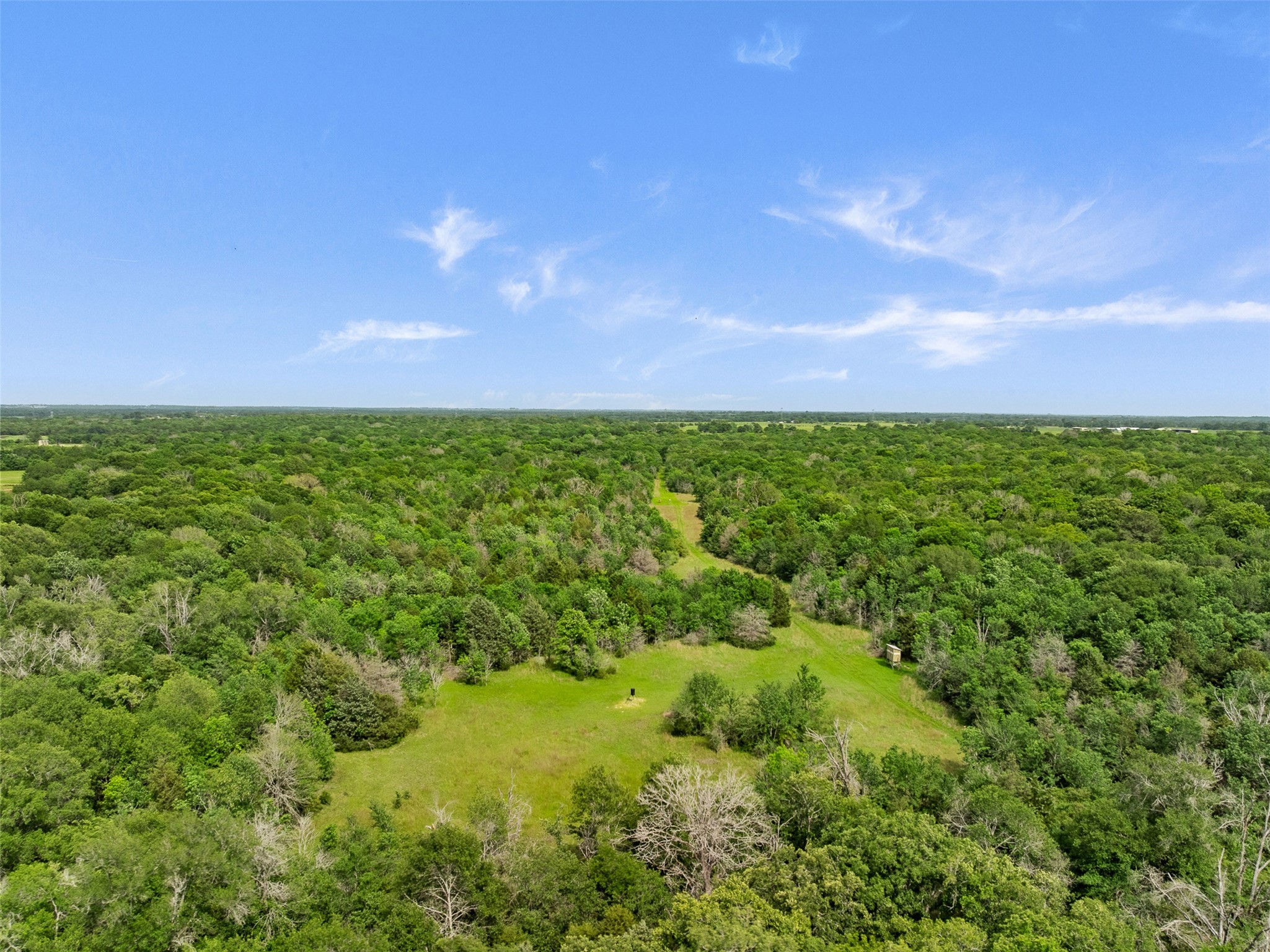 +/- 400 Ac Fm 2289 Property Photo 14