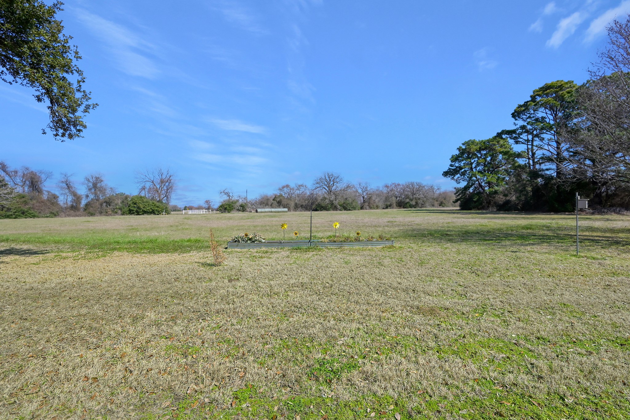 14826 Fm 1452 W Property Photo 28