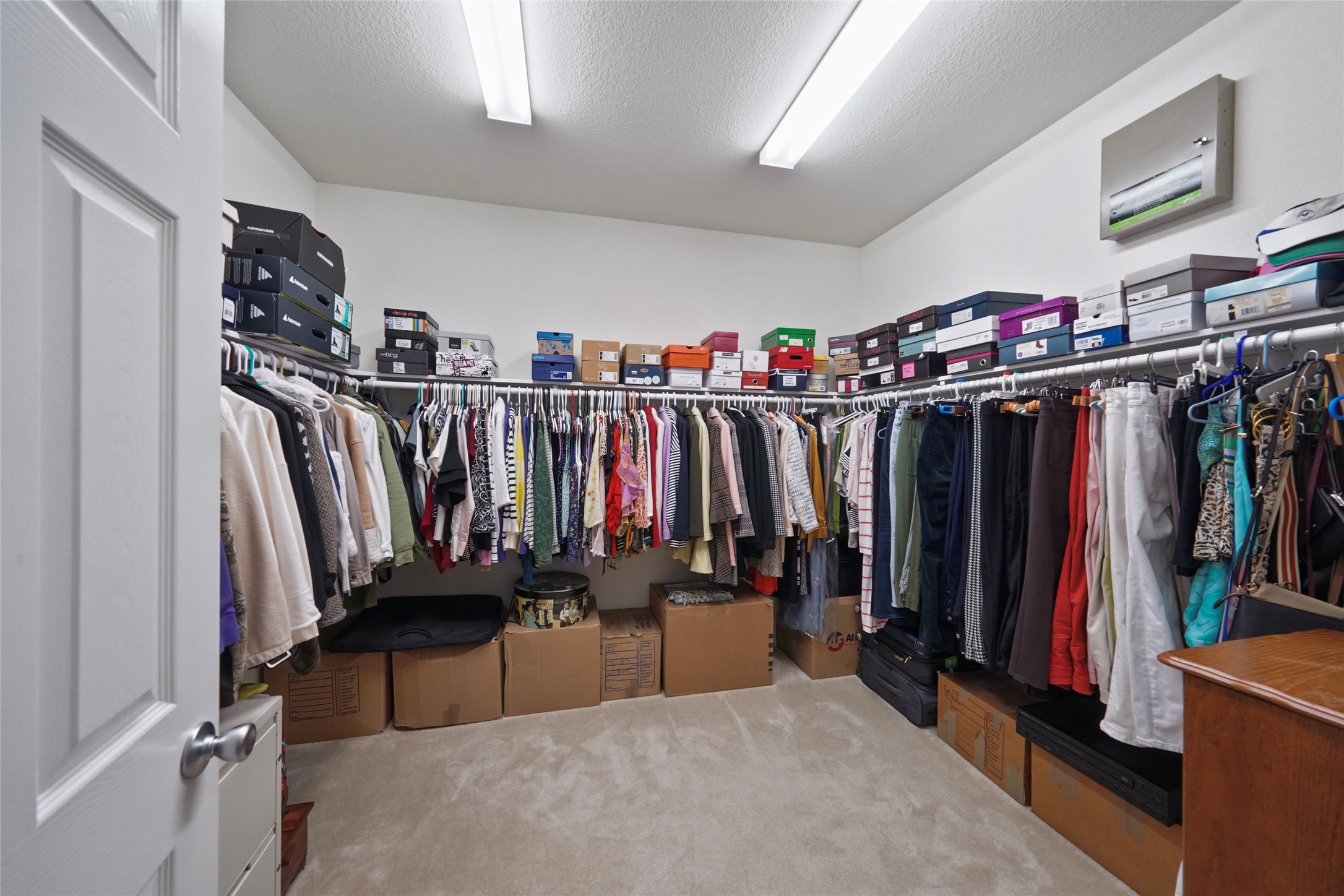 10003 Cimarron Canyon Lane Property Photo 25