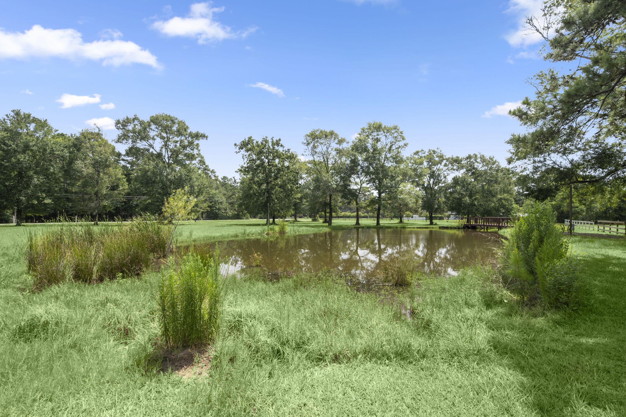 10871 Coaster Lane Property Photo 32