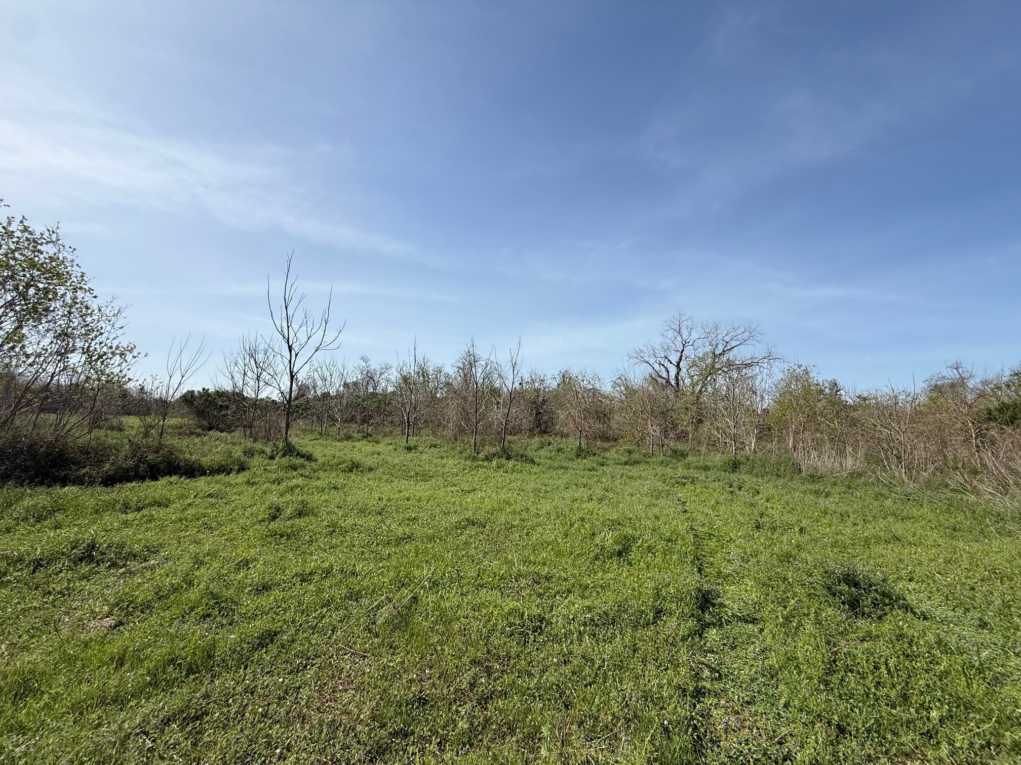 0 County Road 613 Property Photo 1