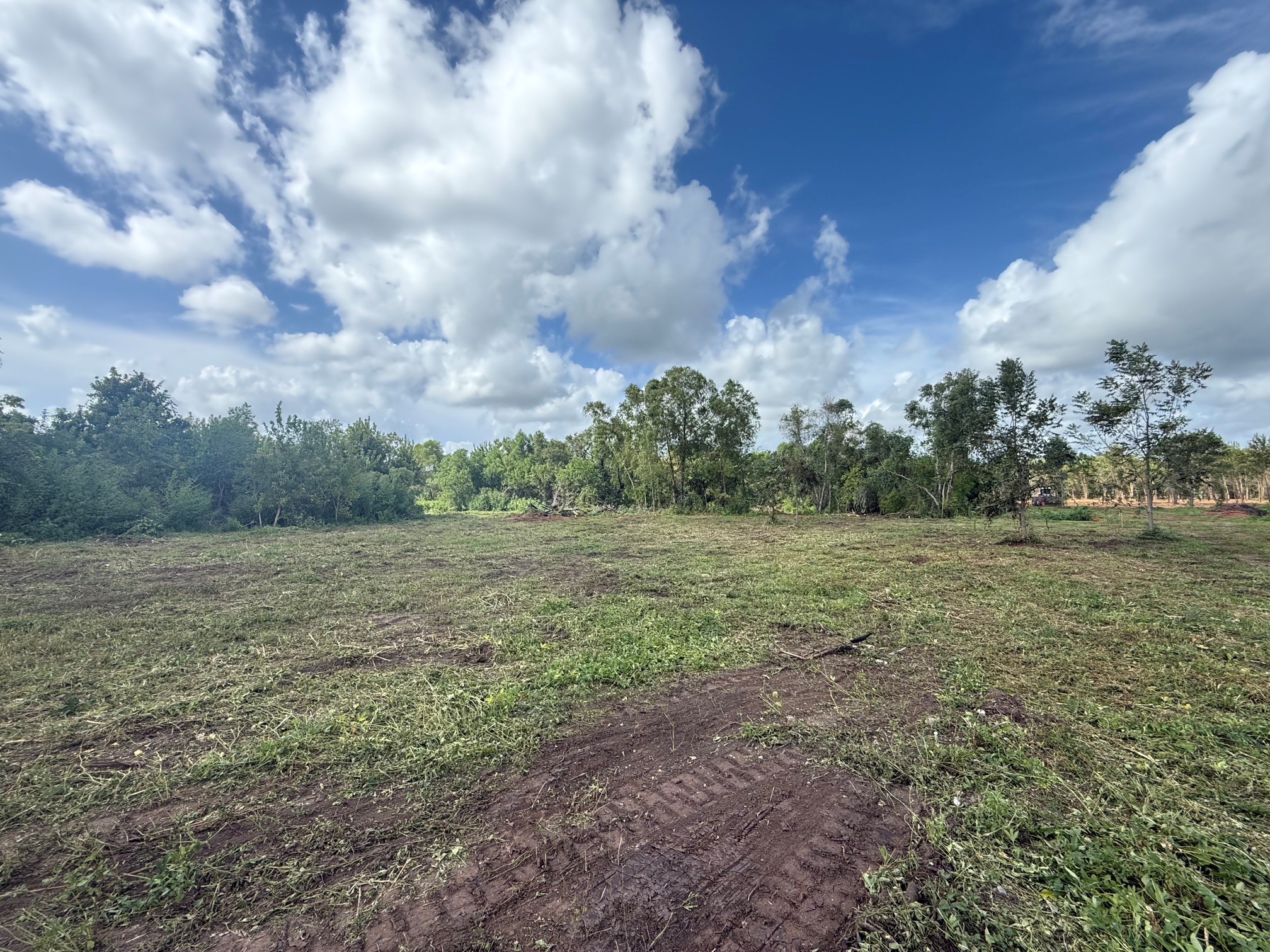 0 County Road 613 Property Photo 4