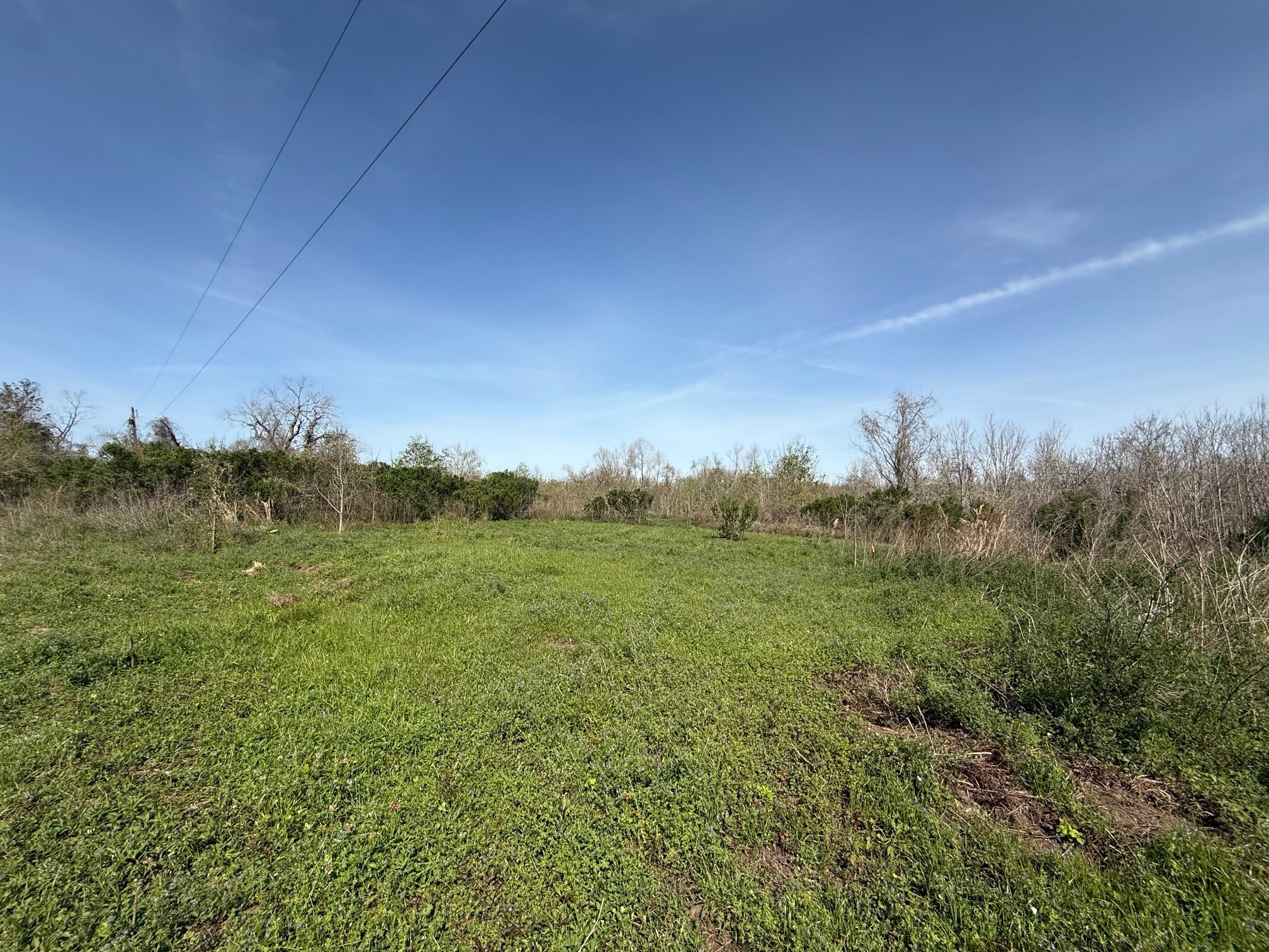 0 County Road 613 Property Photo 5
