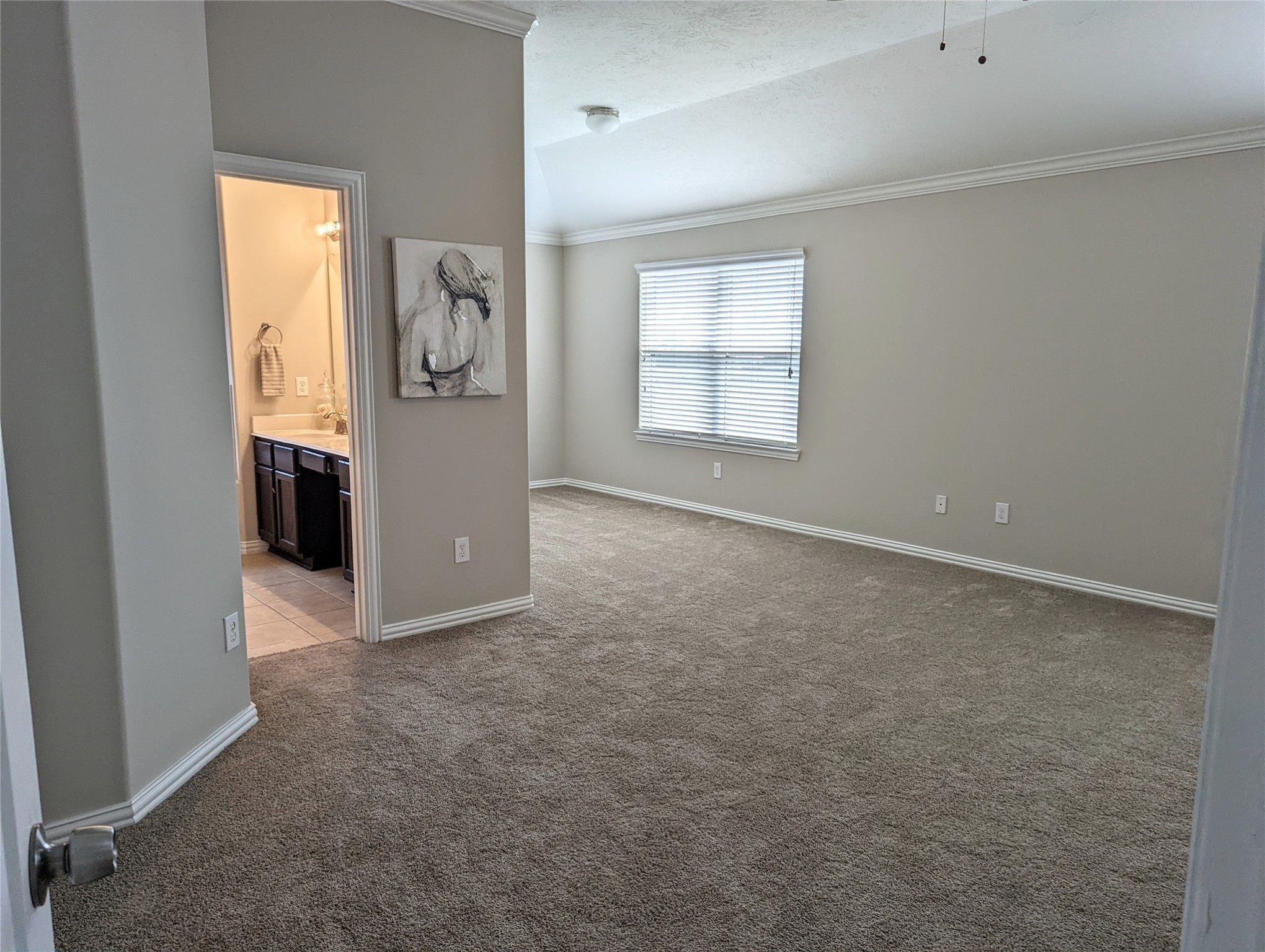 10718 Wall Fern Way Property Photo 26