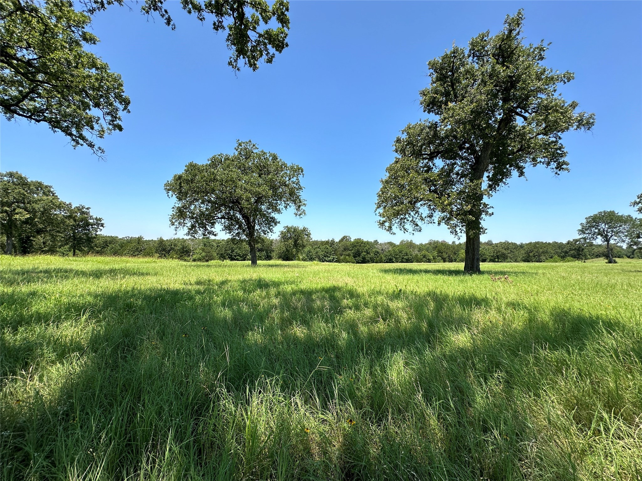 Tbd Tract 2 Fm 2547 Property Photo
