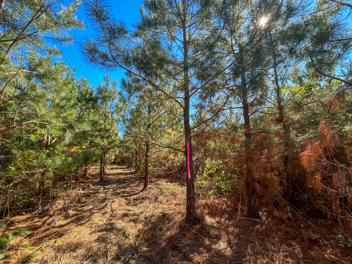 06 Cr 3121 Property Photo 6