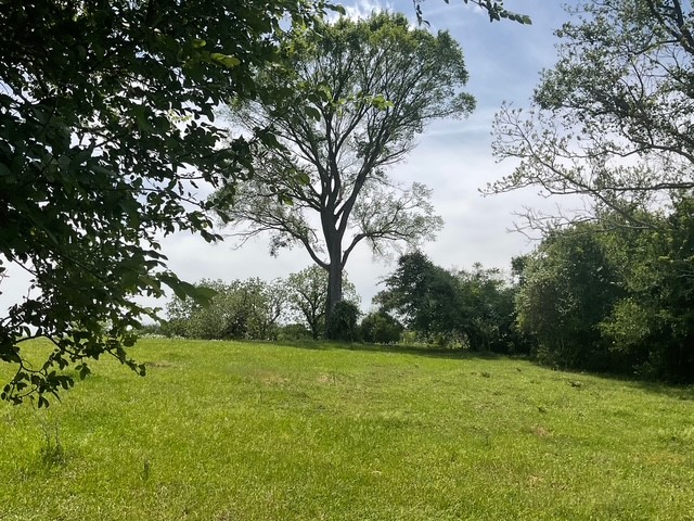 0 Riverside Plantation Road Property Photo 1