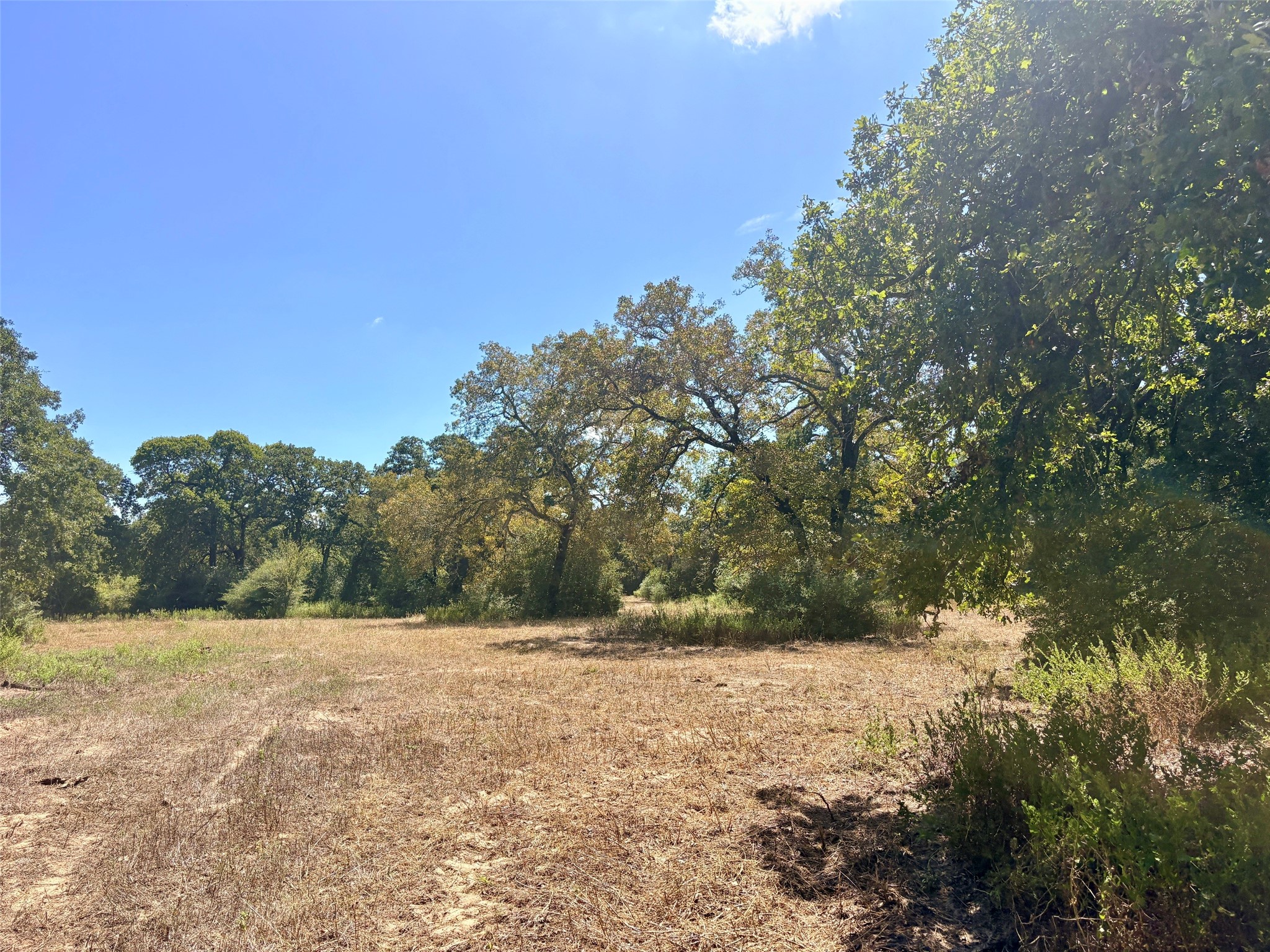 11529 Winstead Lane Property Photo 6