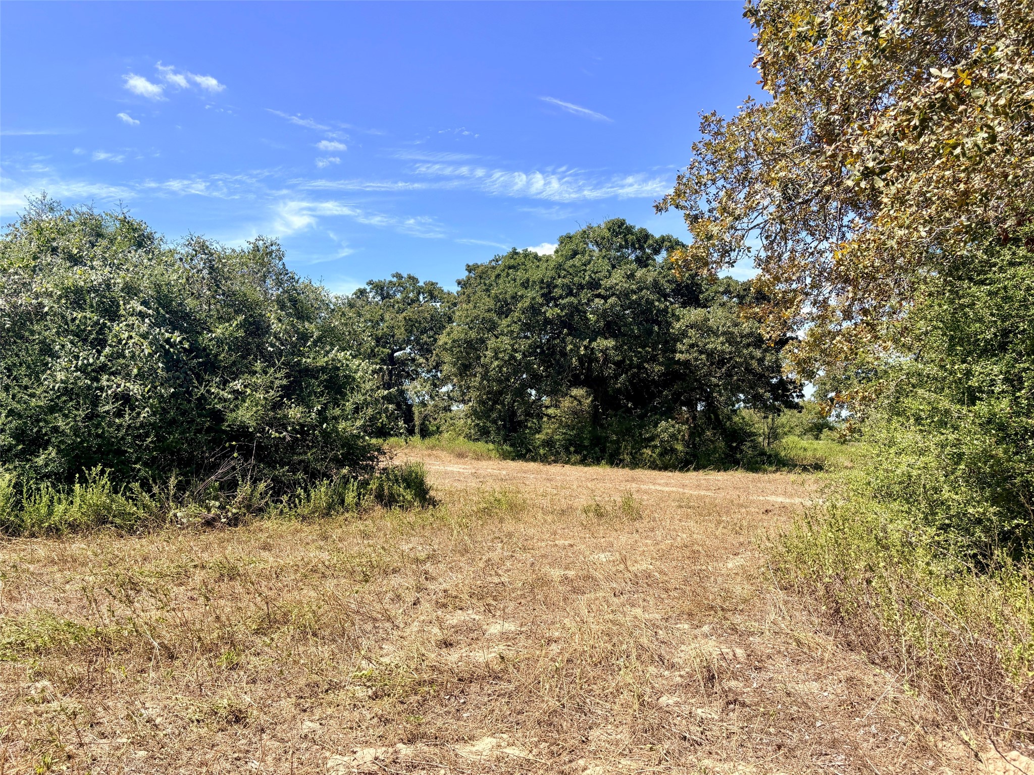 11529 Winstead Lane Property Photo 7