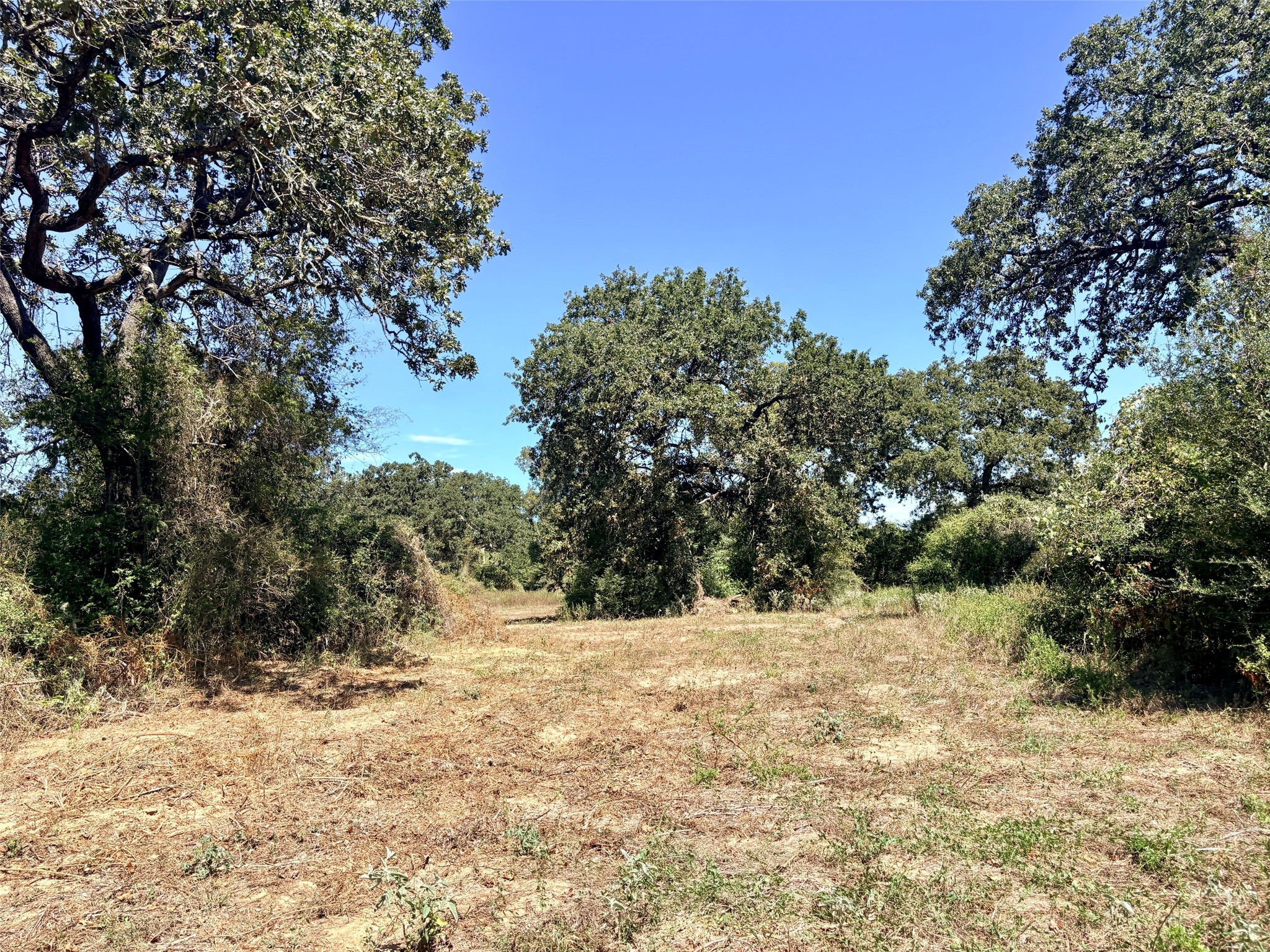 11529 Winstead Lane Property Photo 8