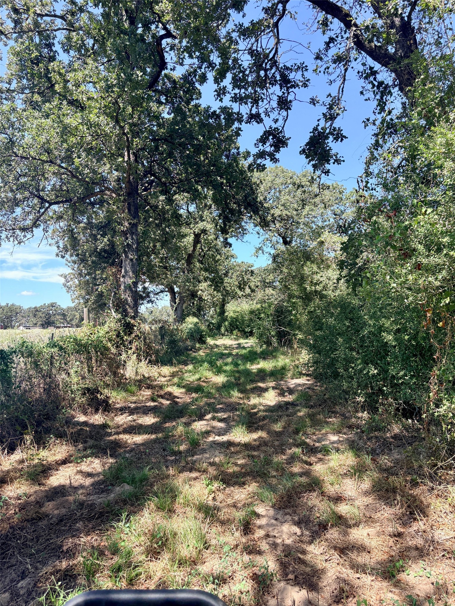 11529 Winstead Lane Property Photo 9