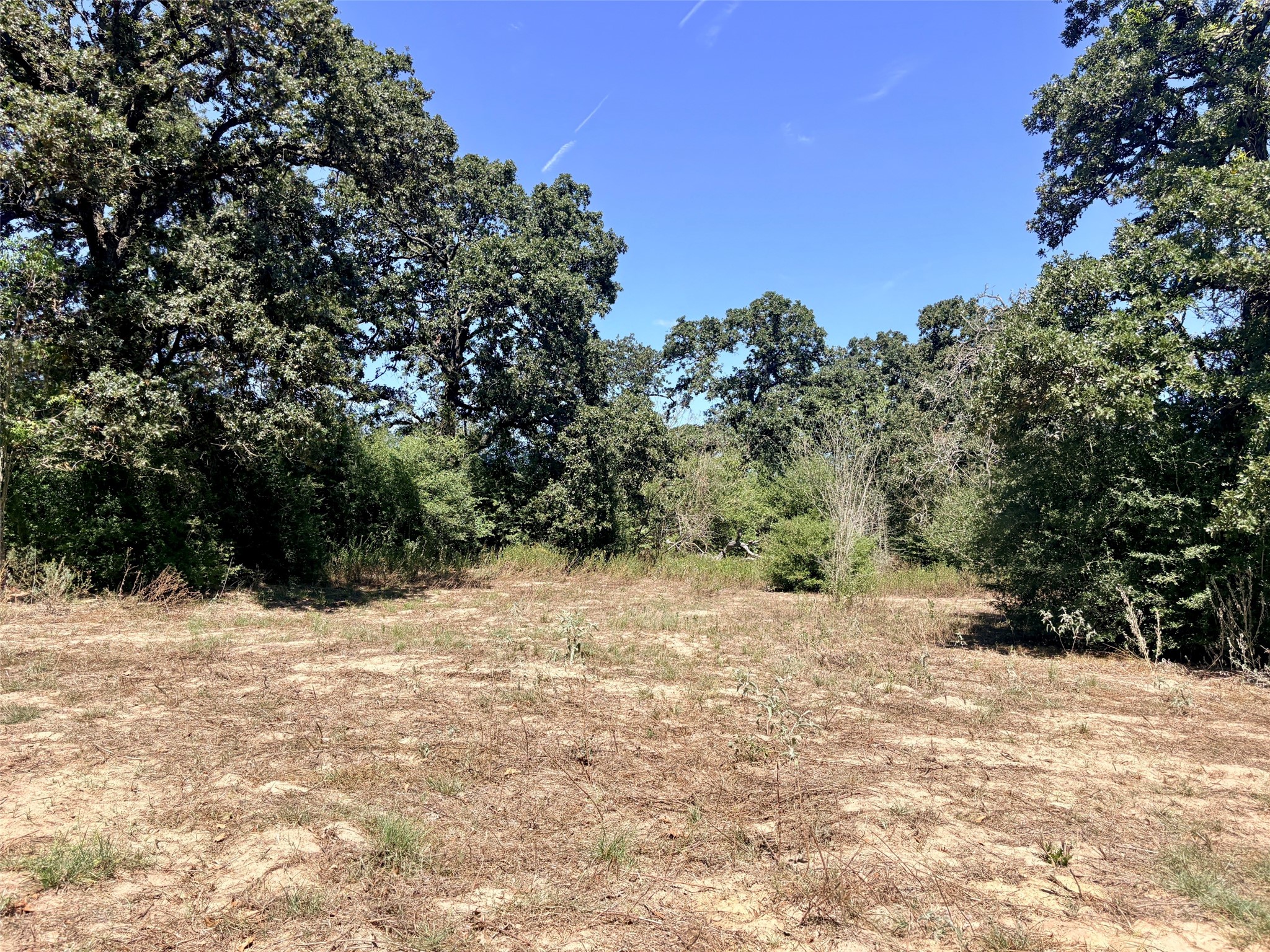 11529 Winstead Lane Property Photo 10