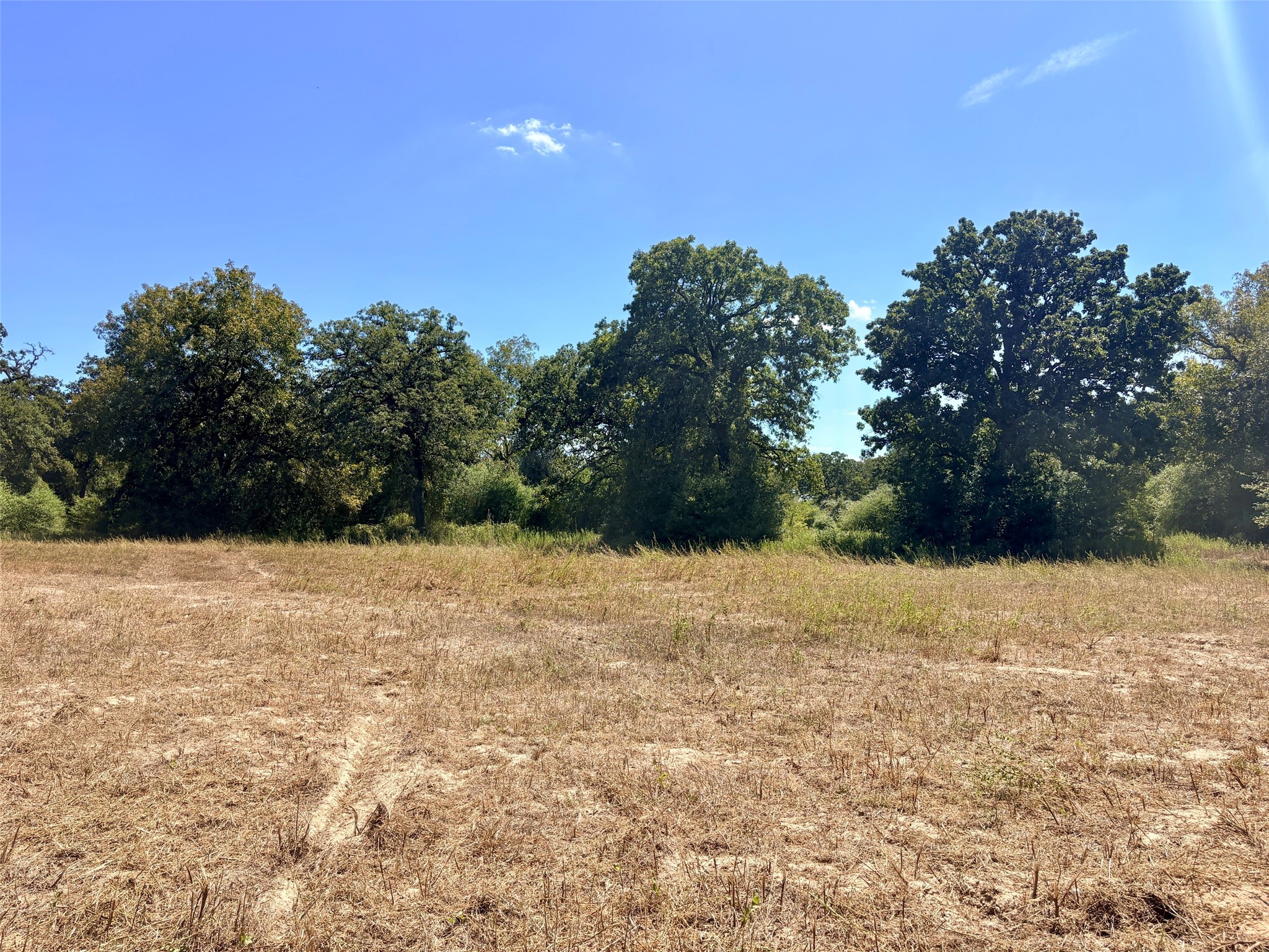 11529 Winstead Lane Property Photo 11