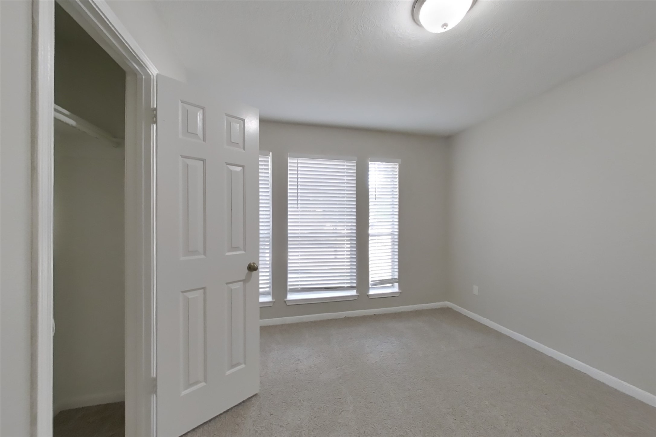 20103 Bambiwoods Drive Property Photo 12