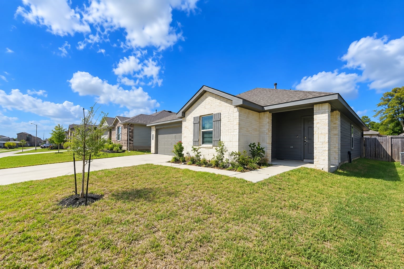 24634 Sapling Pine Street Property Photo 1