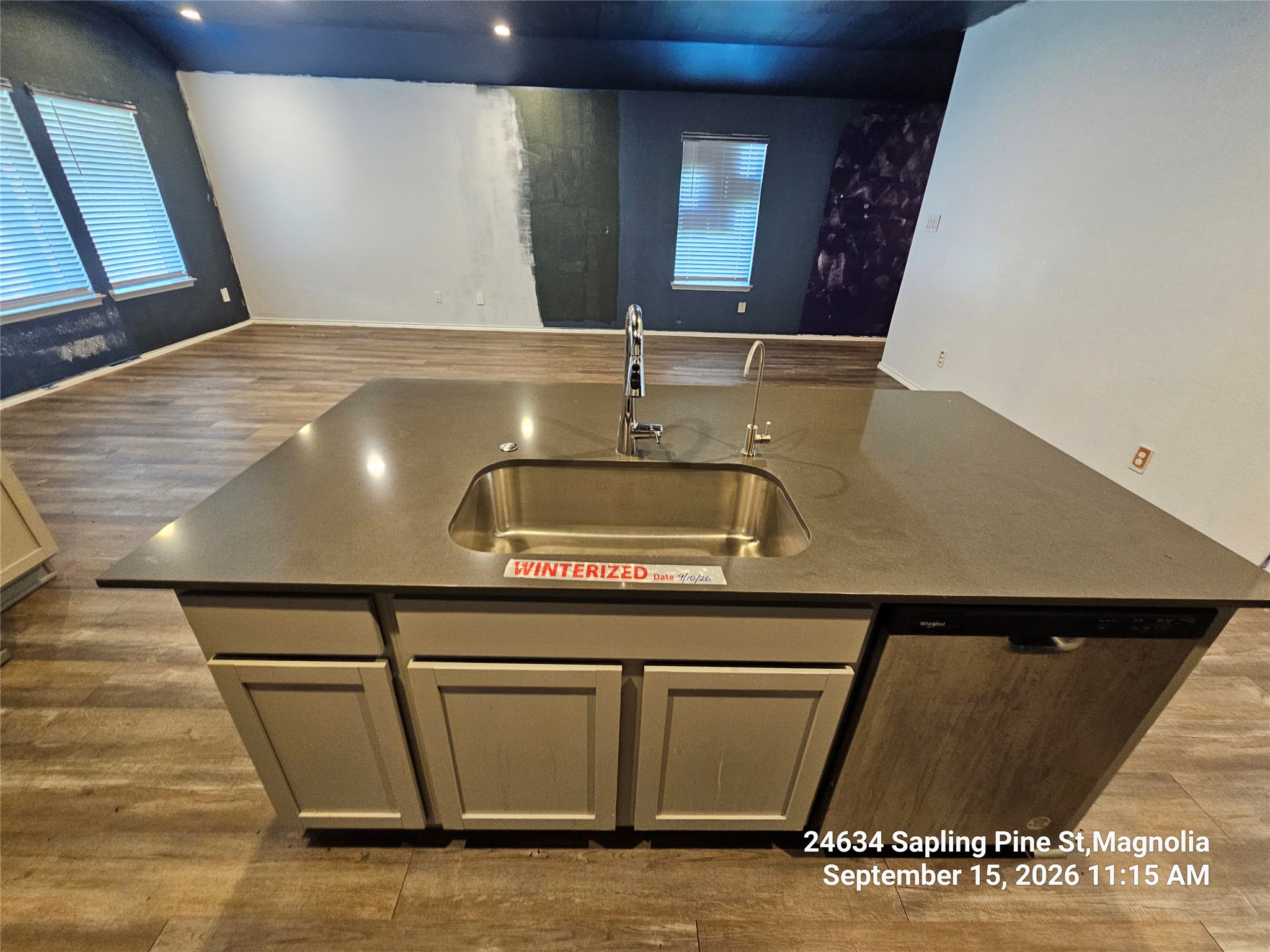 24634 Sapling Pine Street Property Photo 6