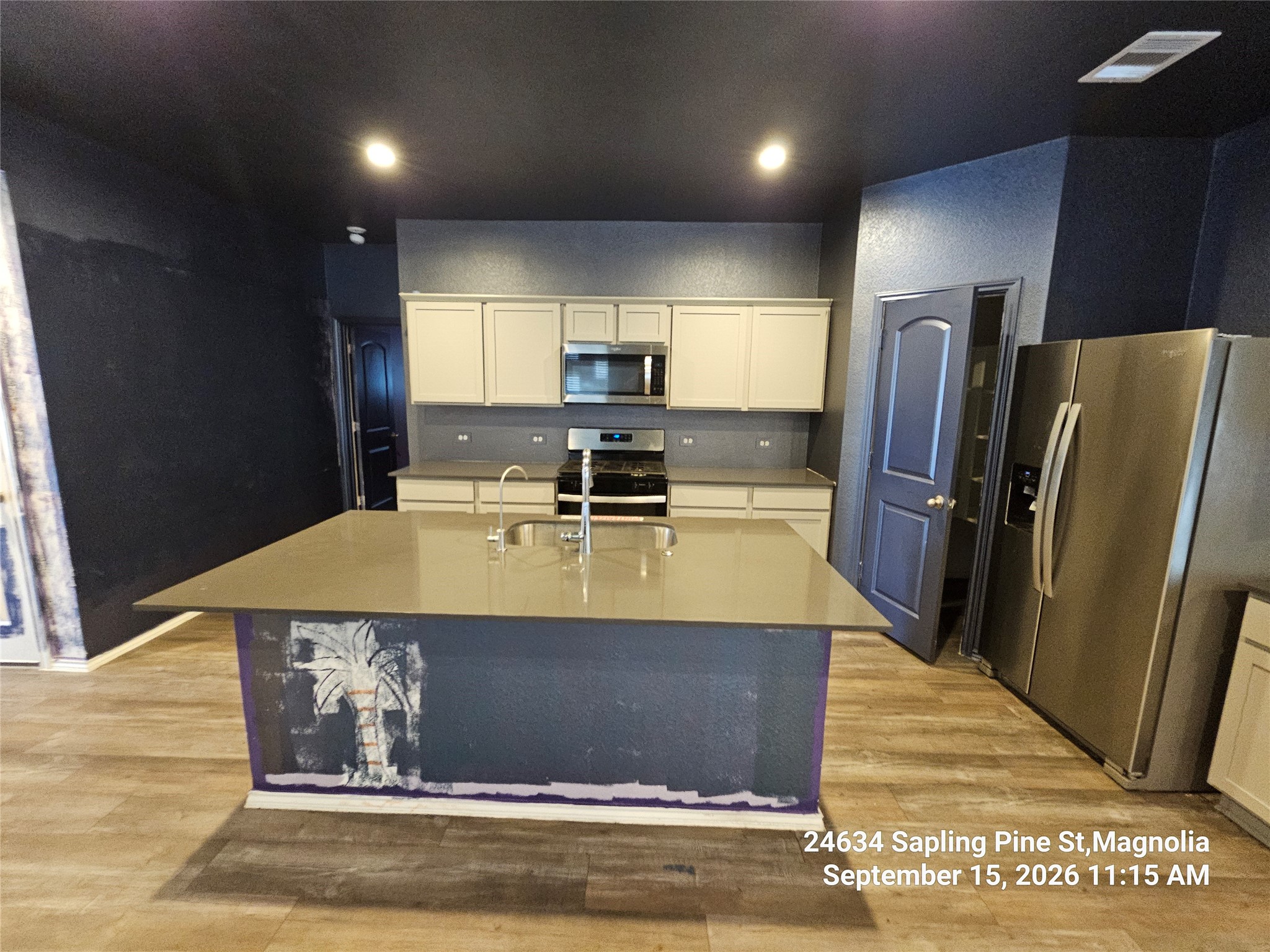 24634 Sapling Pine Street Property Photo 8