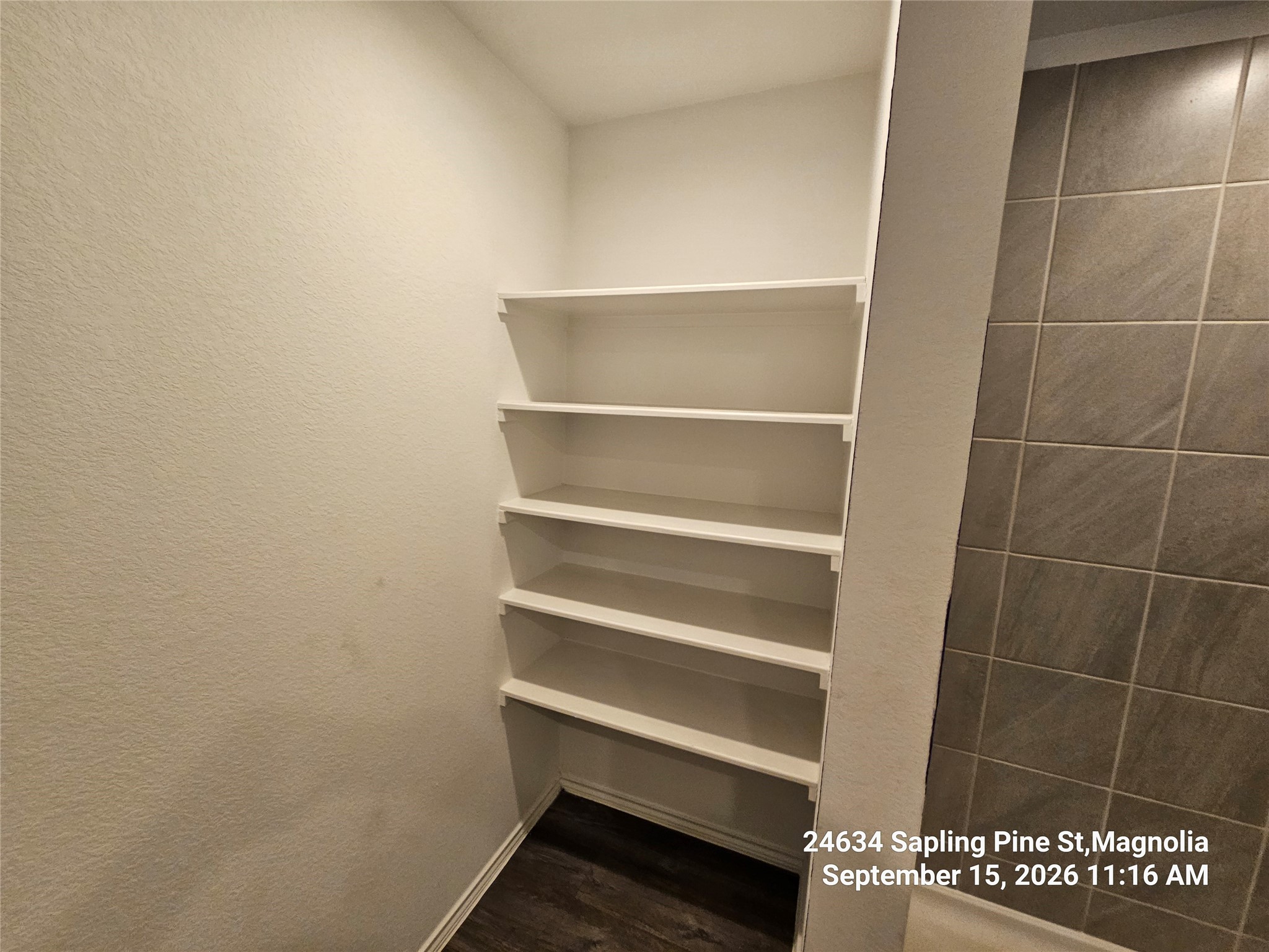 24634 Sapling Pine Street Property Photo 12