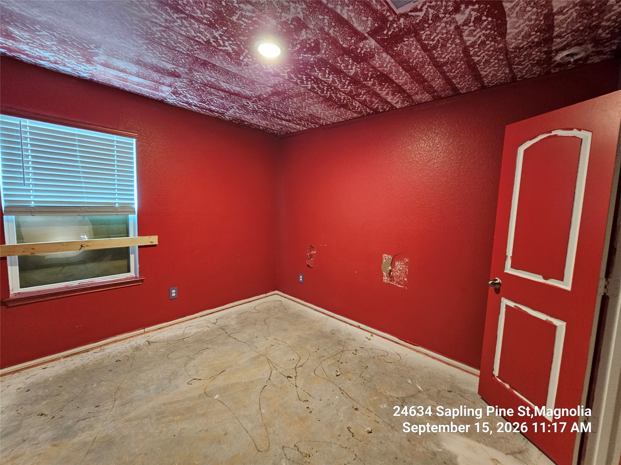 24634 Sapling Pine Street Property Photo 14