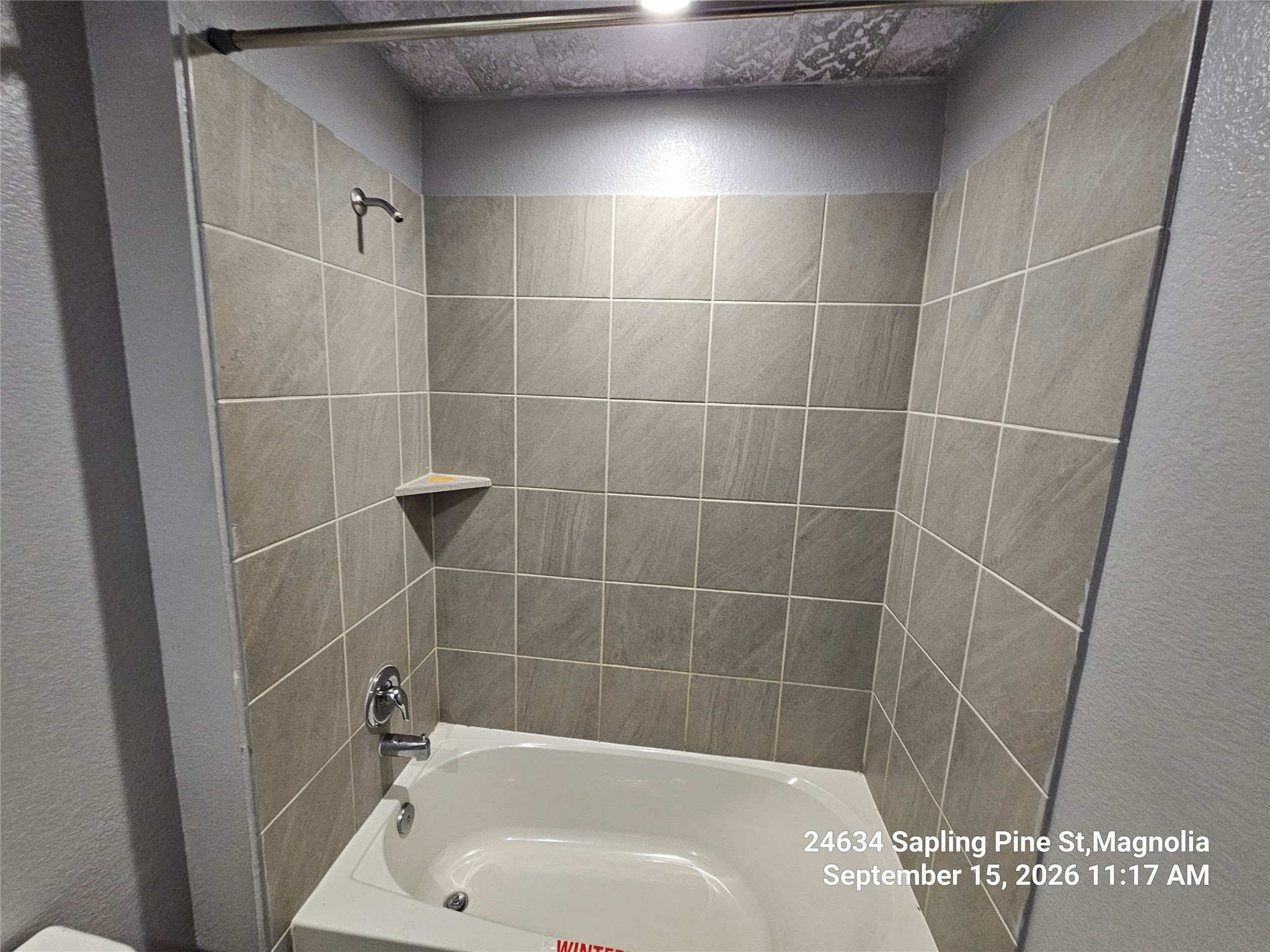 24634 Sapling Pine Street Property Photo 16