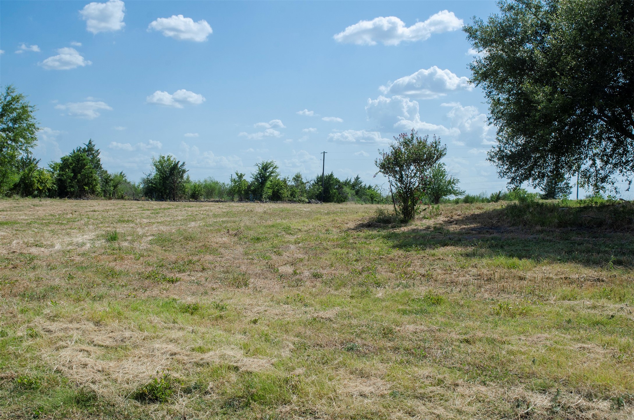 Lot 7 Sunflower Property Photo 13