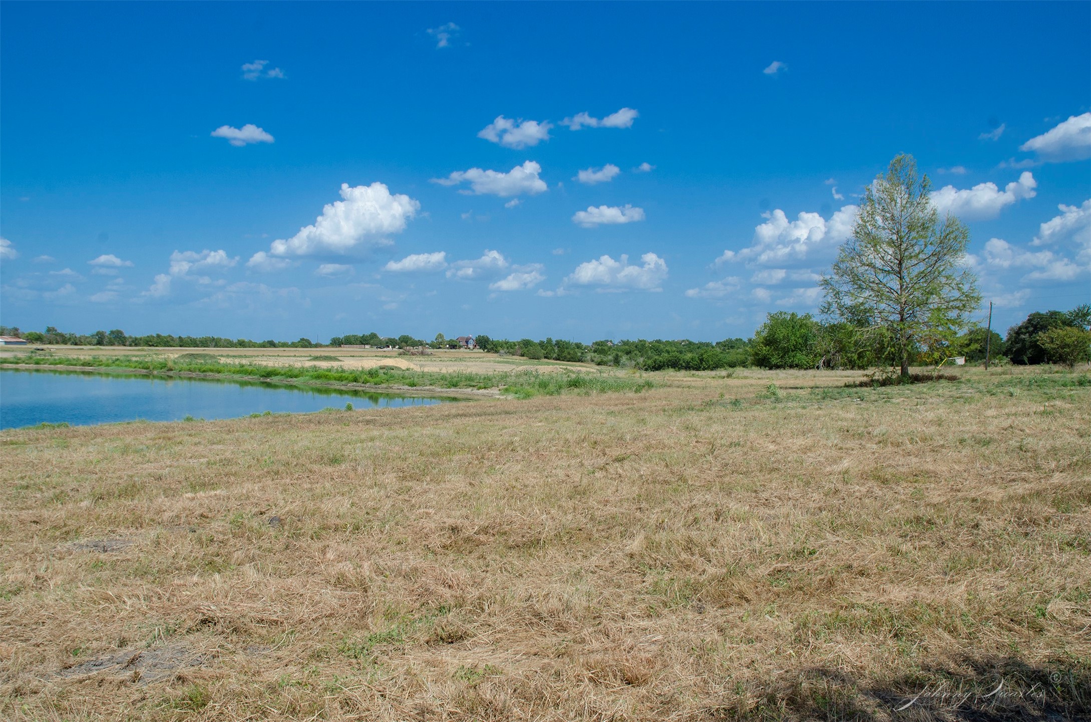 Lot 7 Sunflower Property Photo 20