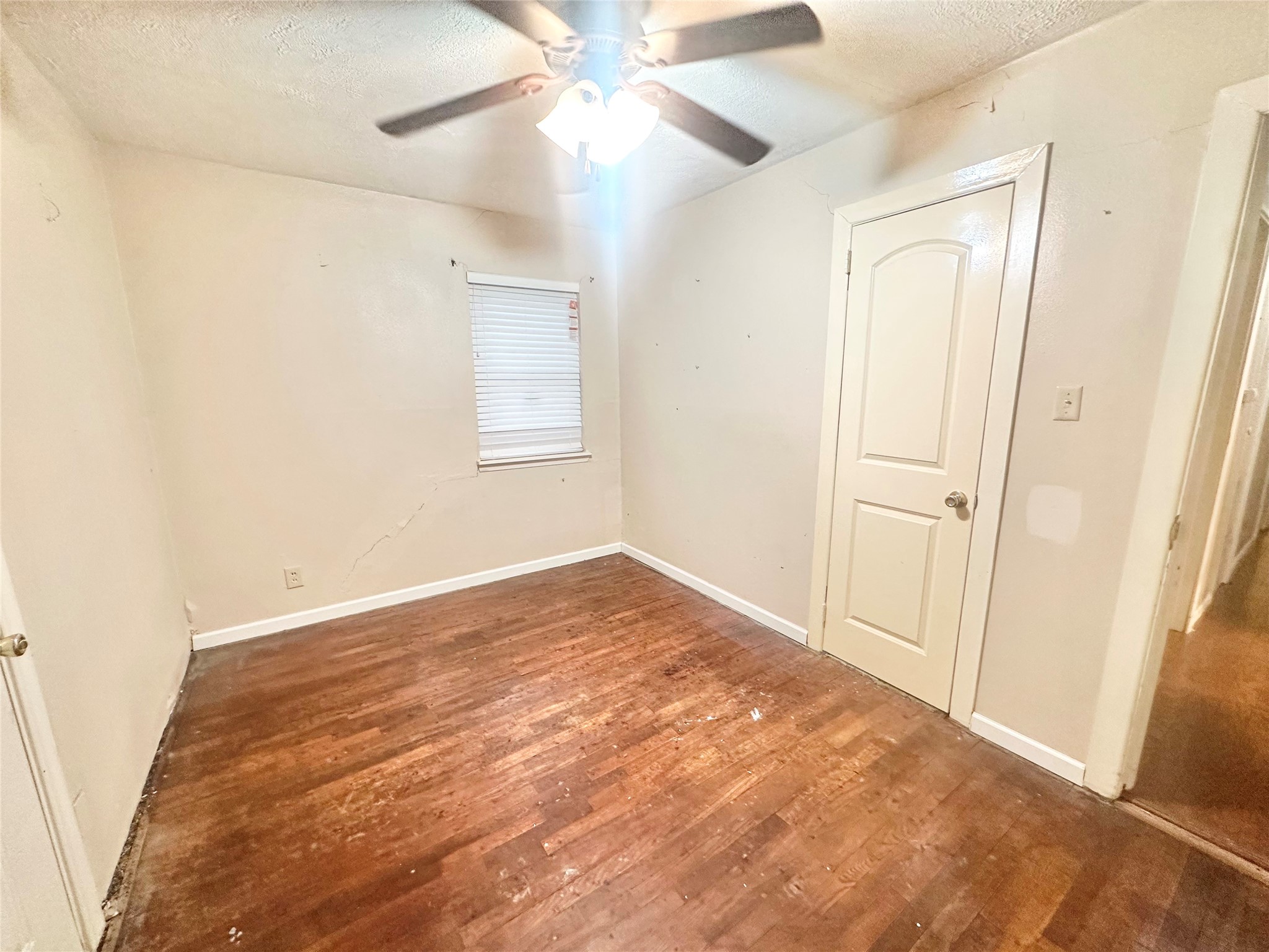 10206 Ashville Drive Property Photo 33