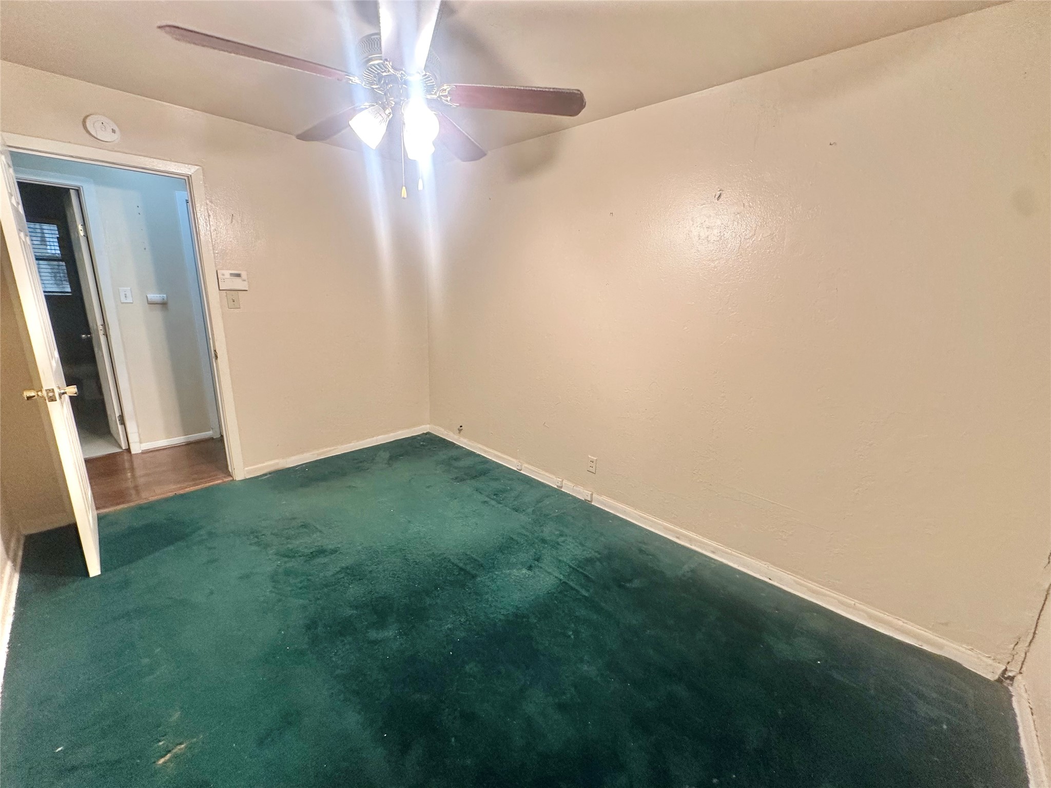 10206 Ashville Drive Property Photo 34