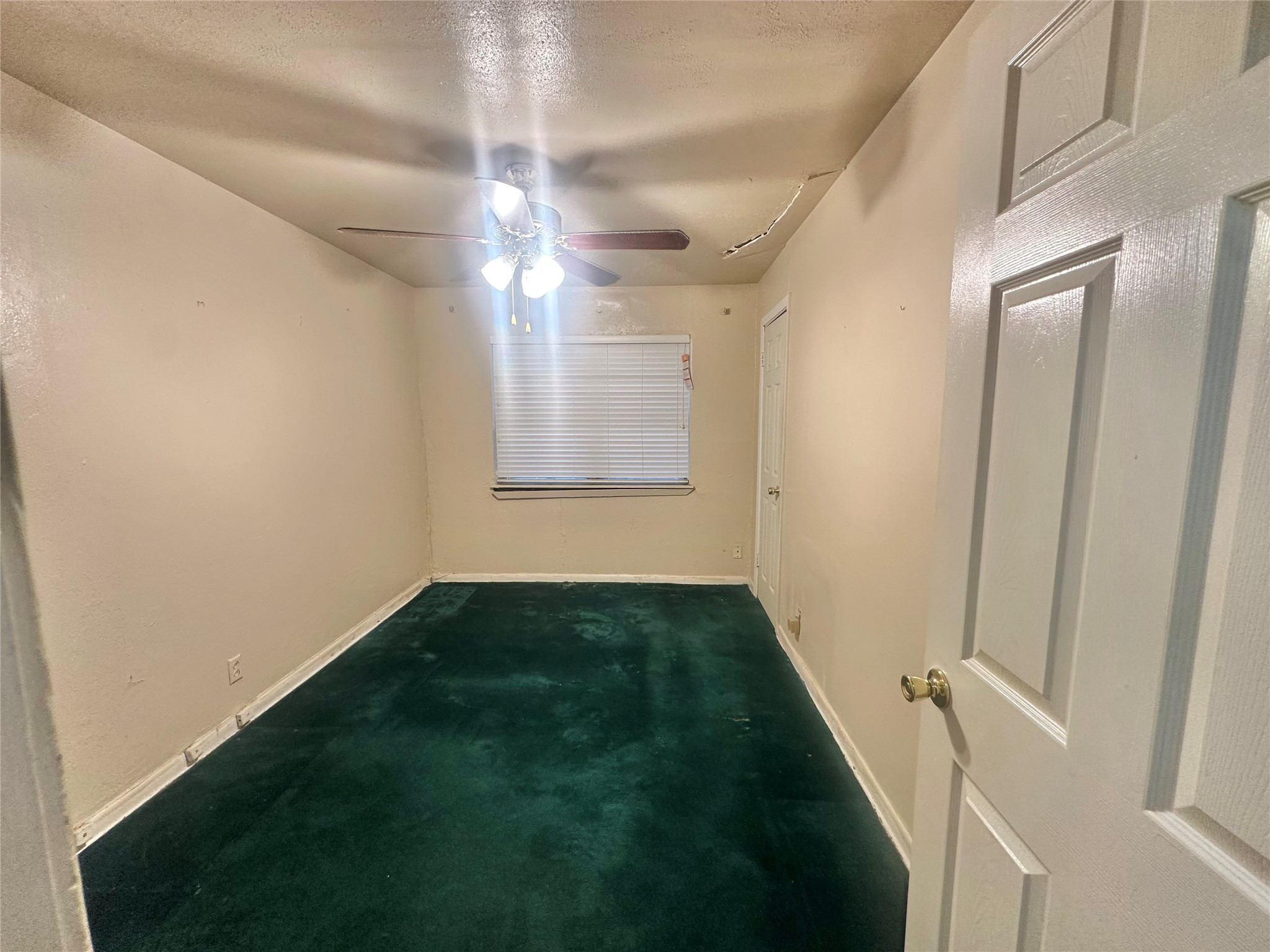 10206 Ashville Drive Property Photo 35