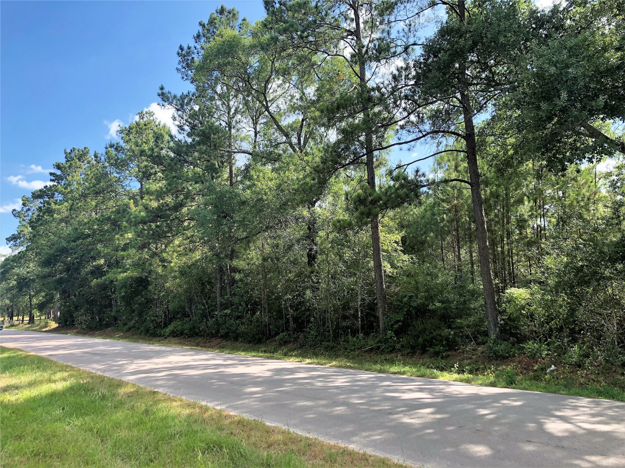 26685 Clark Road Property Photo 3