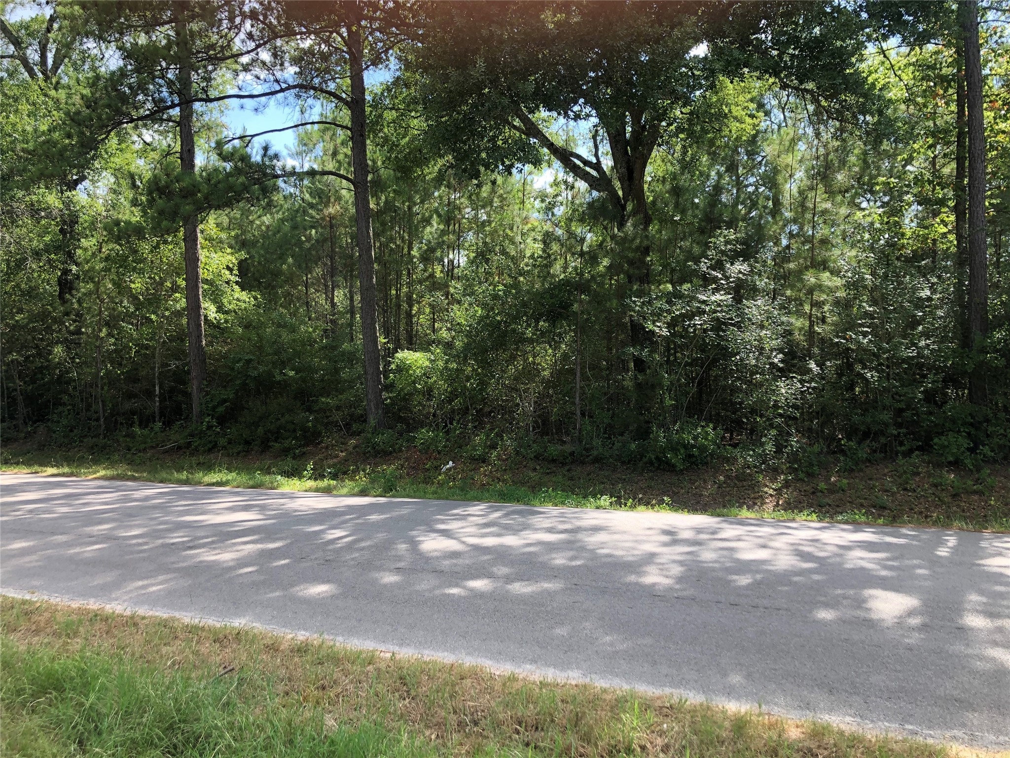 26685 Clark Road Property Photo 5