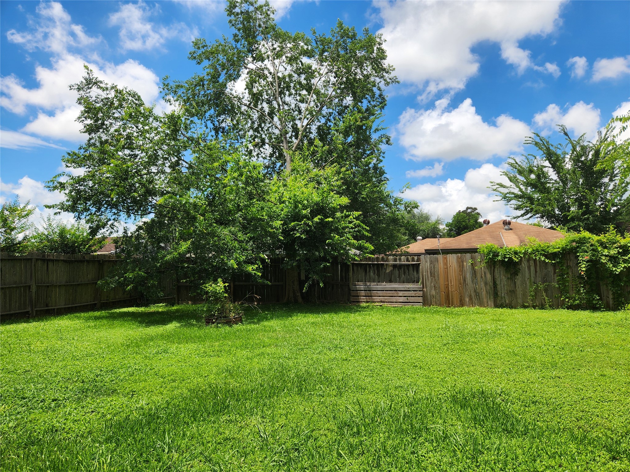4518 Oak Shadows Drive Property Photo 6