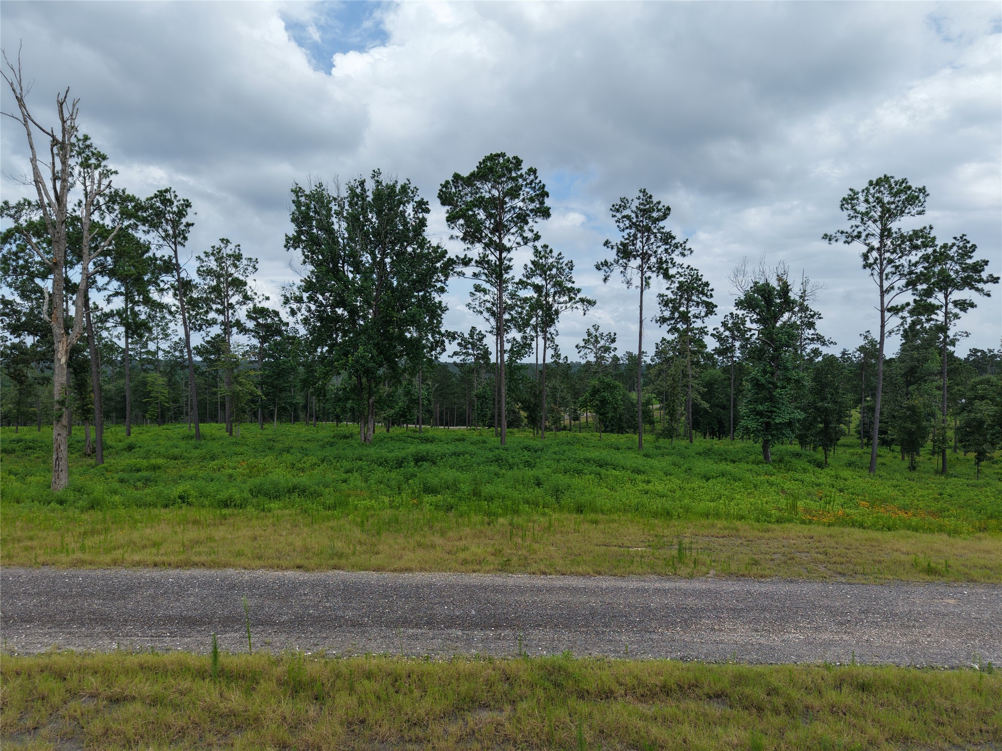 Lot 82 Grace Circle Property Photo