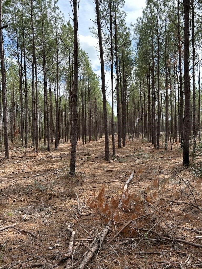 Tract 2 Lloyd Walker Road Property Photo