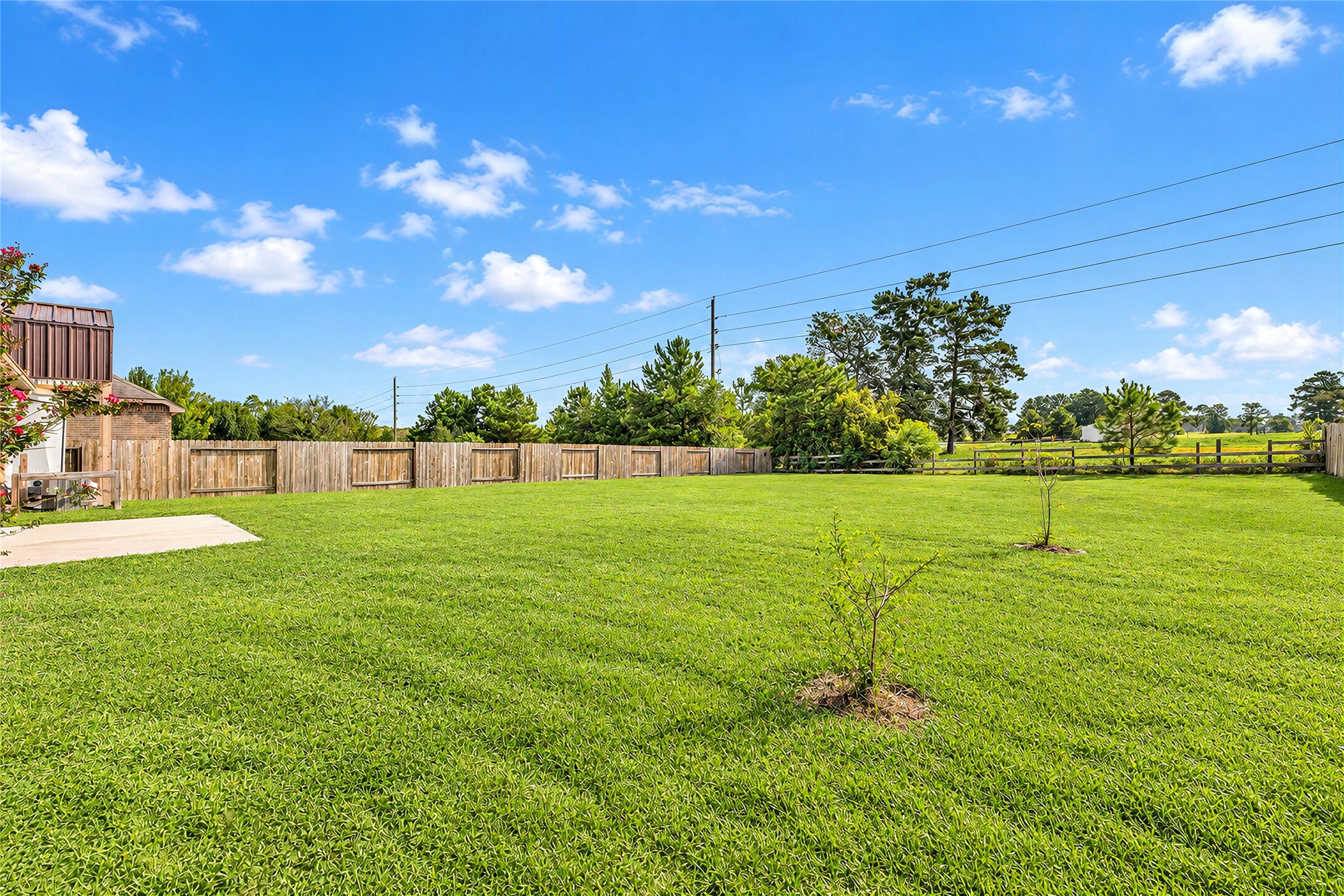 18803 Maverick Ranch Road E Property Photo 28