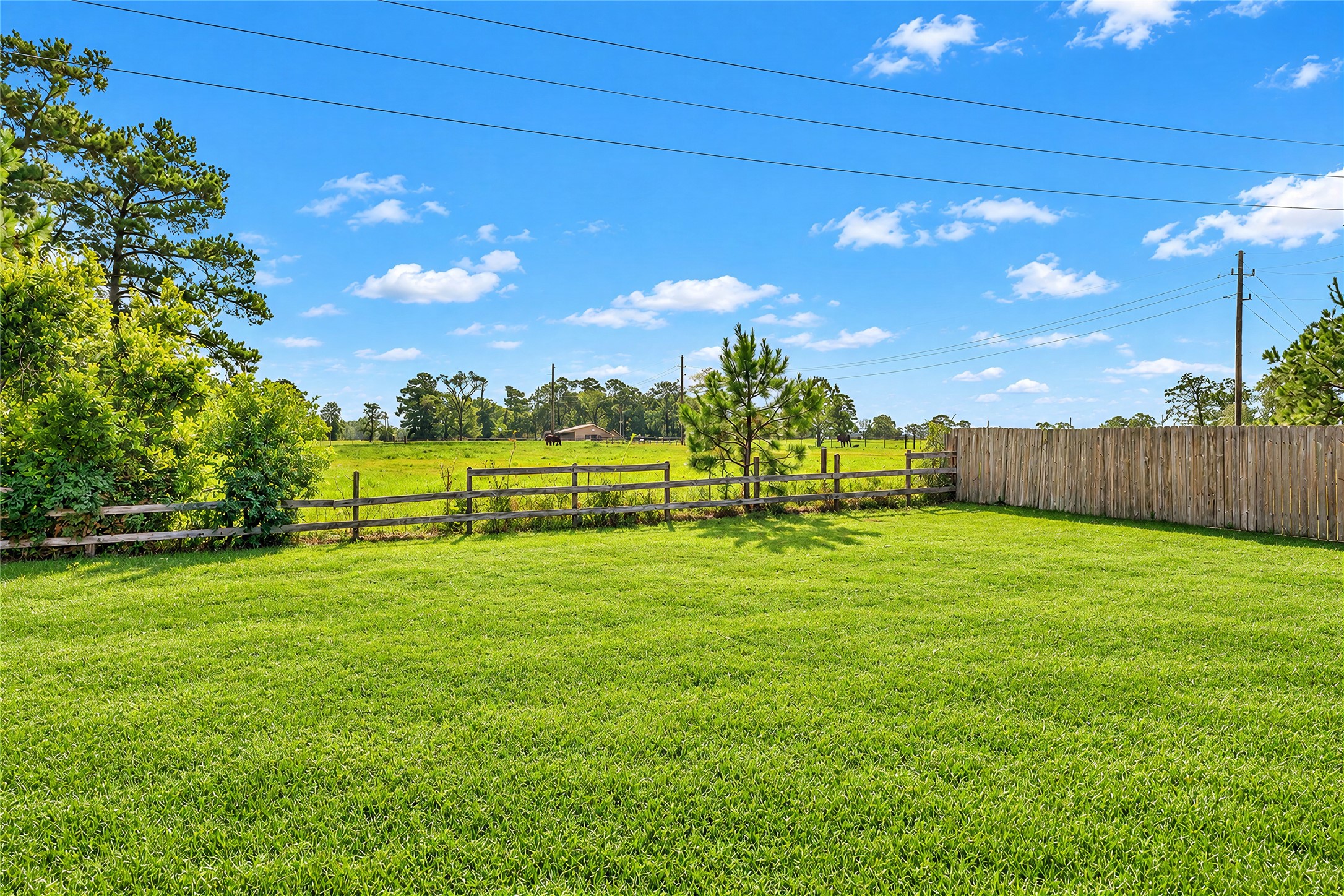 18803 Maverick Ranch Road E Property Photo 29