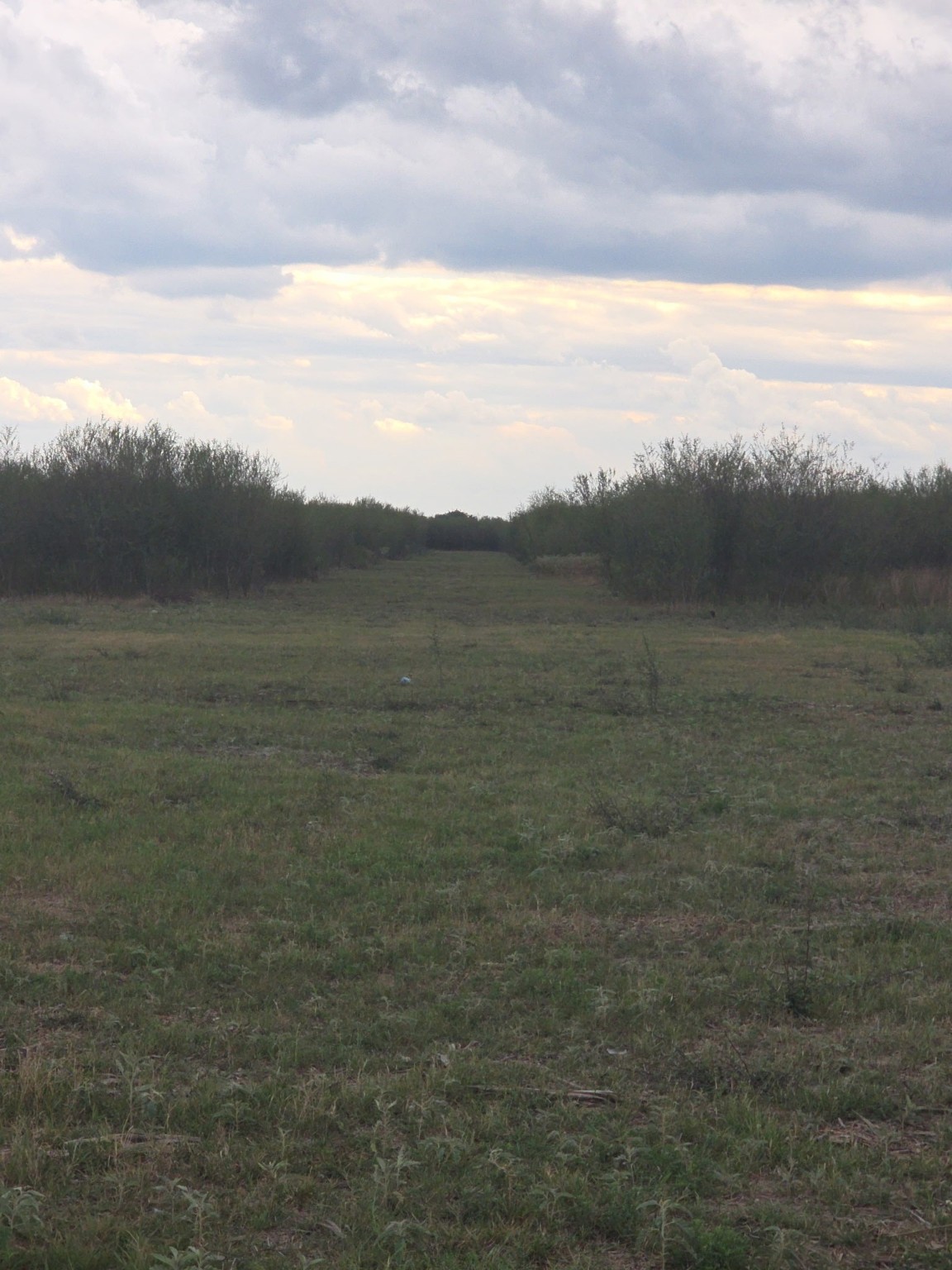 36847 Richard Frey 2-26 Road Property Photo 8