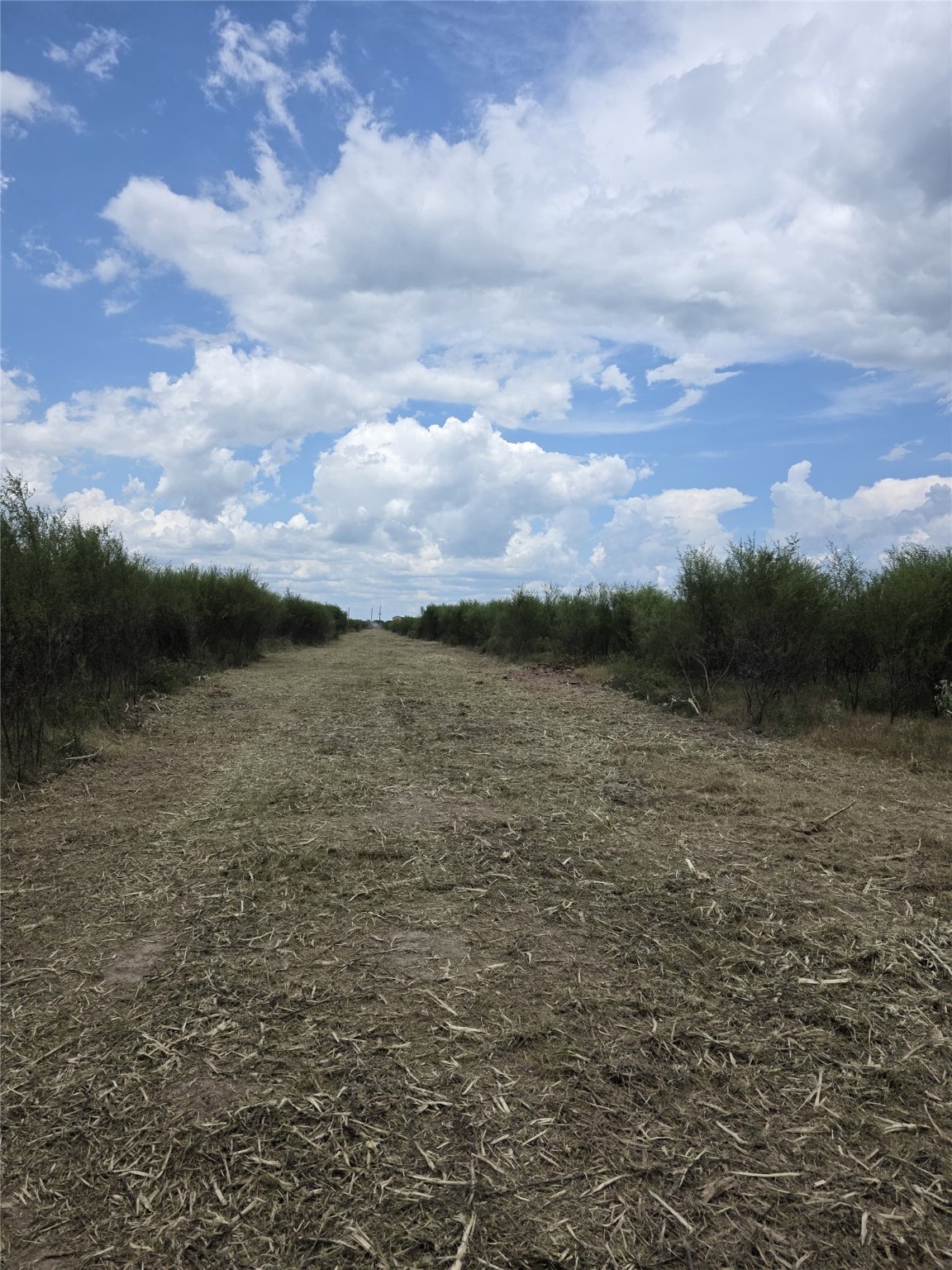 36847 Richard Frey 2-26 Road Property Photo 10