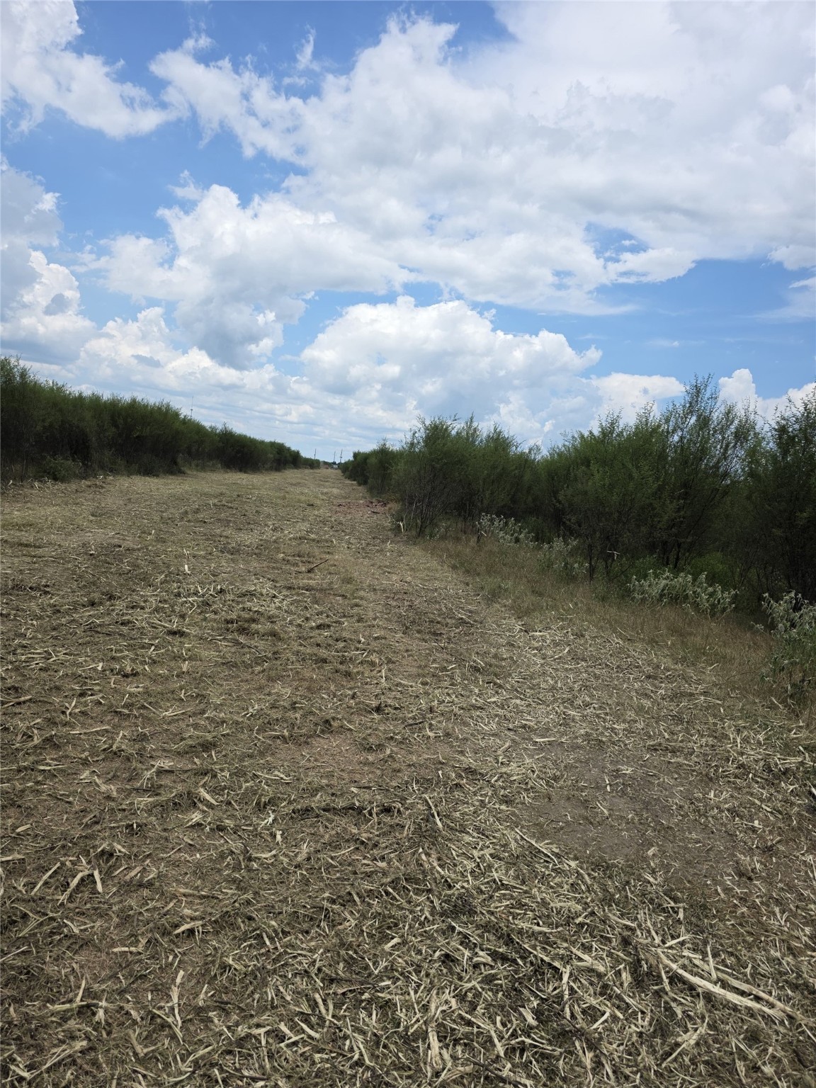 36847 Richard Frey 2-26 Road Property Photo 11