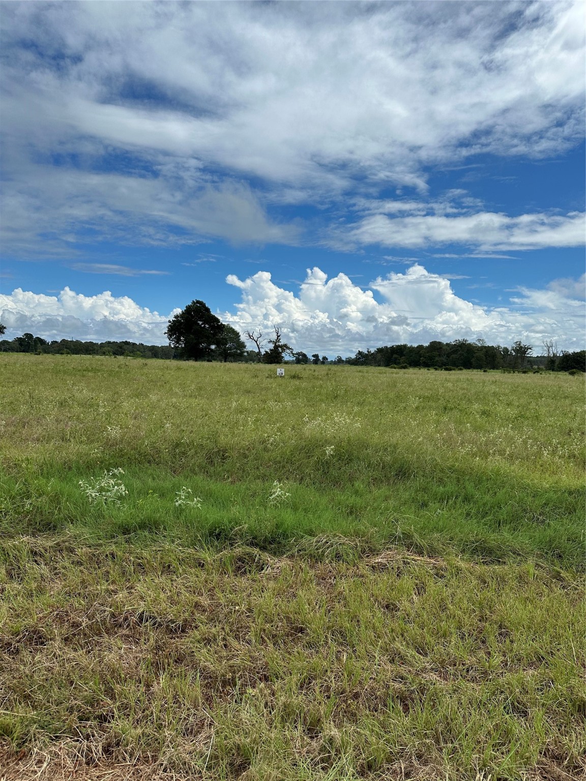 Tbd Private Road 2316 Tr 47 Tr48 Property Photo 1