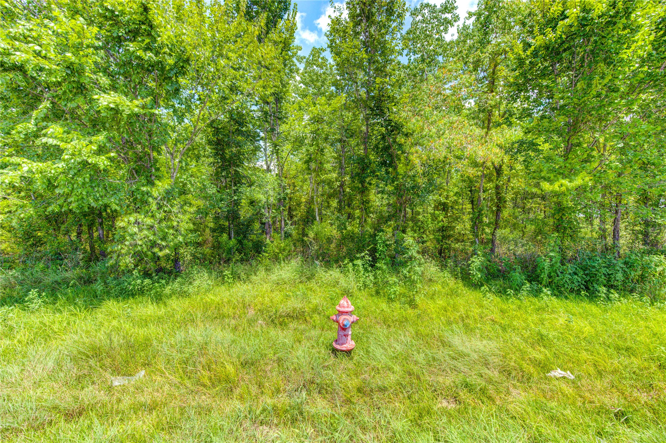 0 County Road 133 Road Property Photo 6