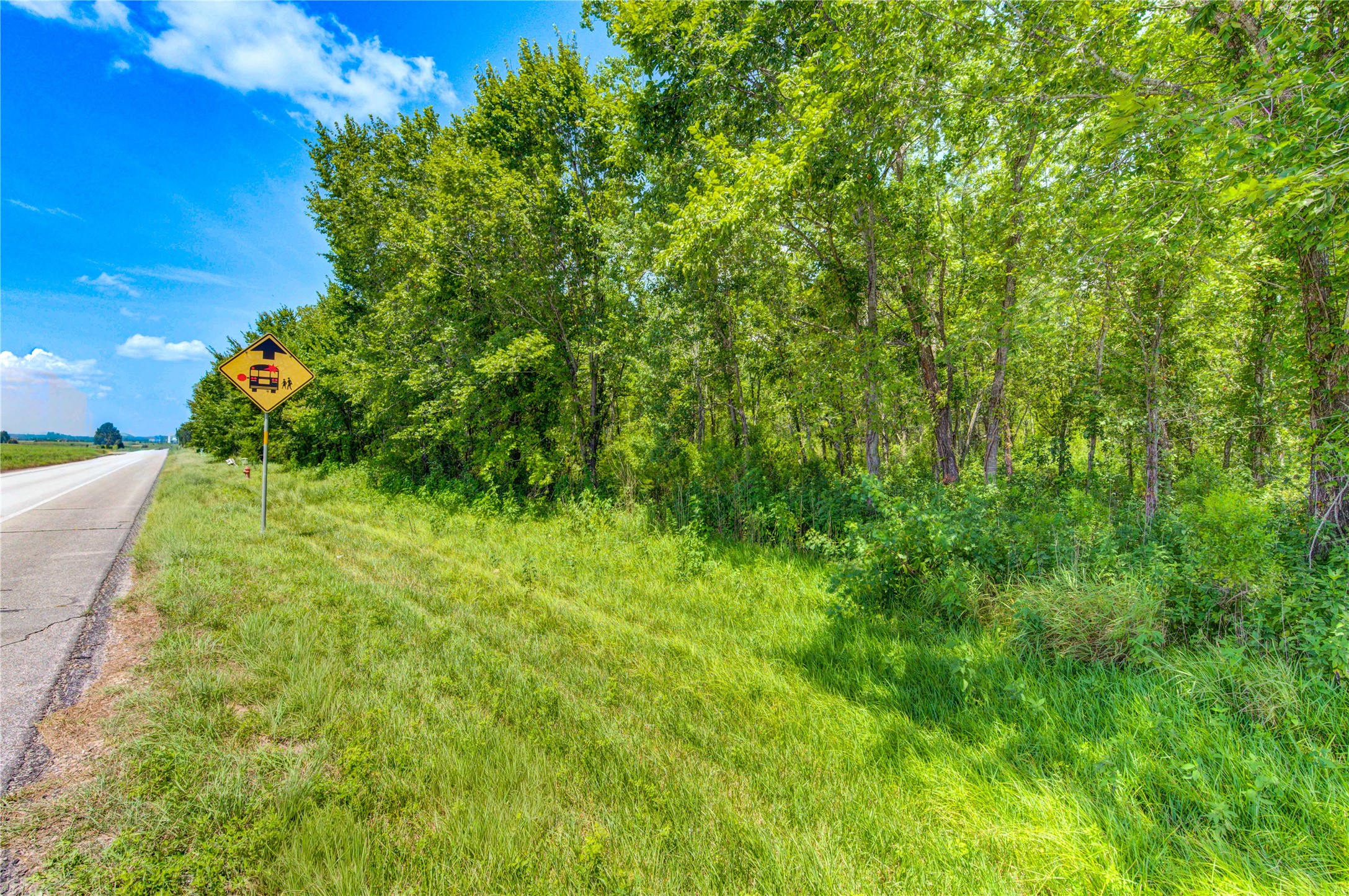 0 County Road 133 Road Property Photo 7