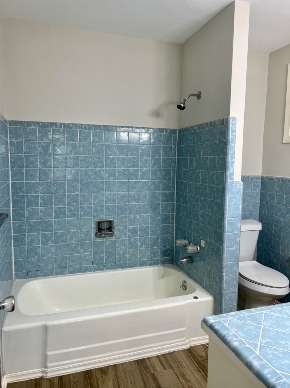 4731 Merwin Street Property Photo 18