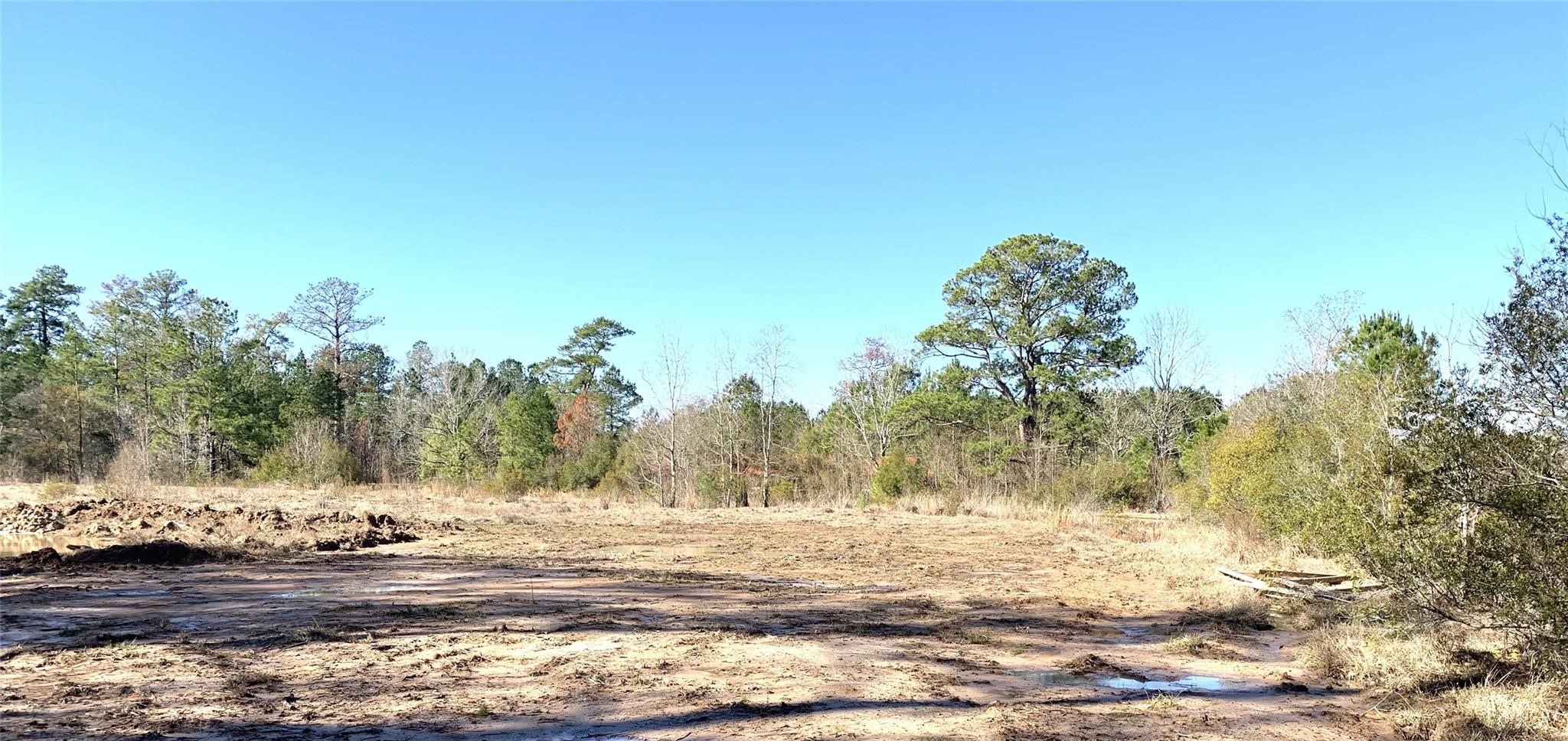 240 County Road 893 Property Photo 4