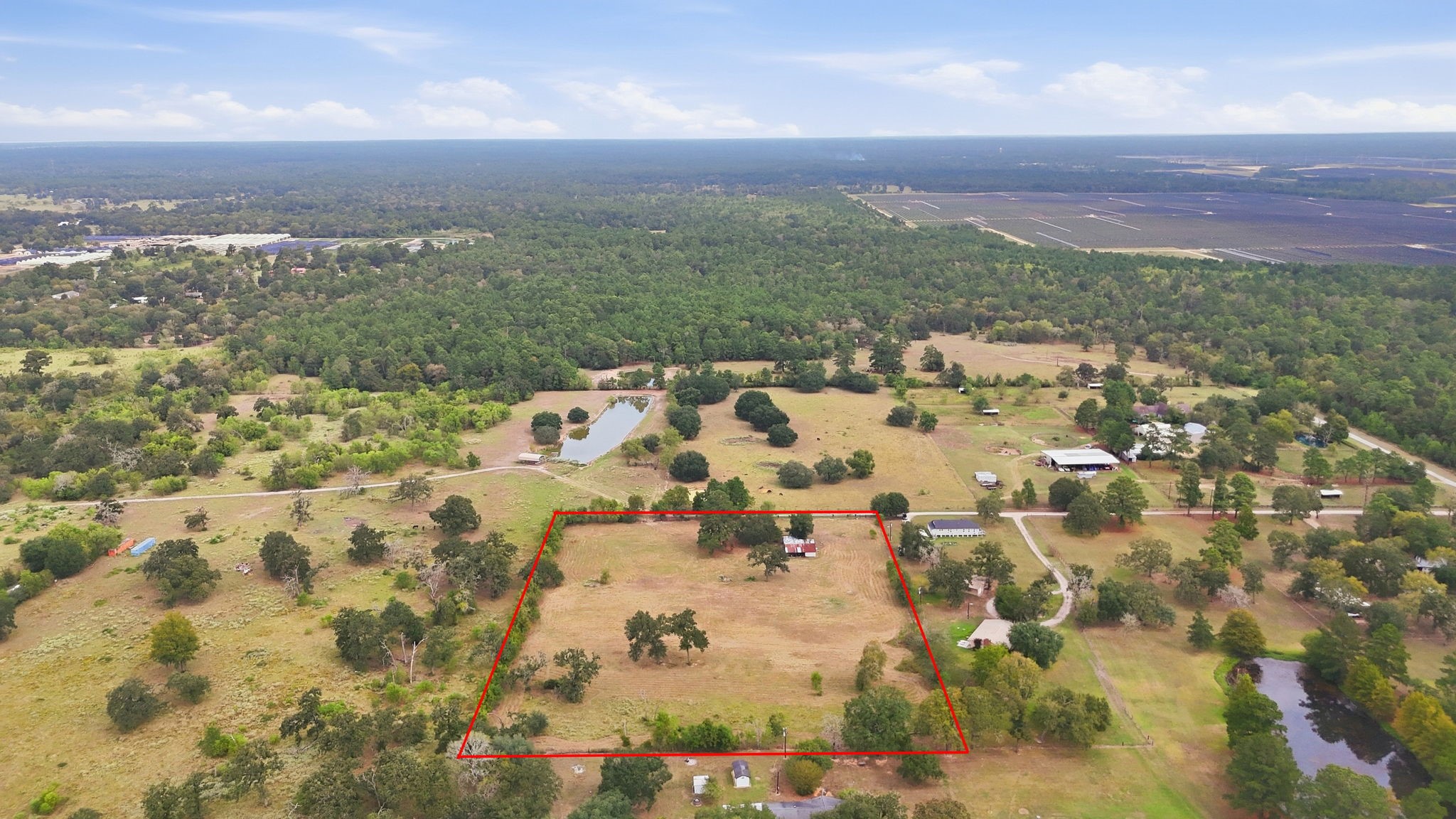 29229 Sheffield Road Property Photo 9